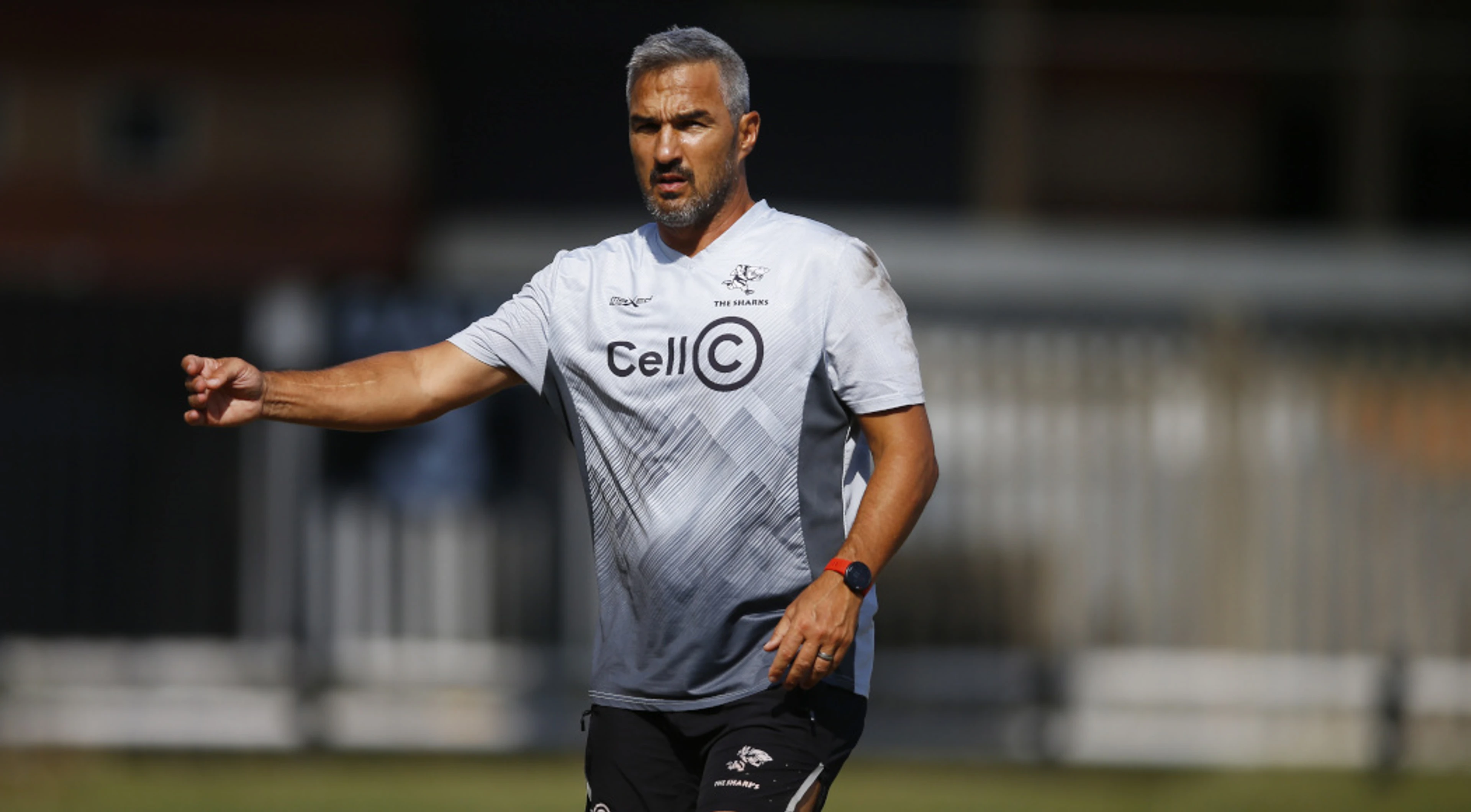 There are some shards of hope for the Sharks