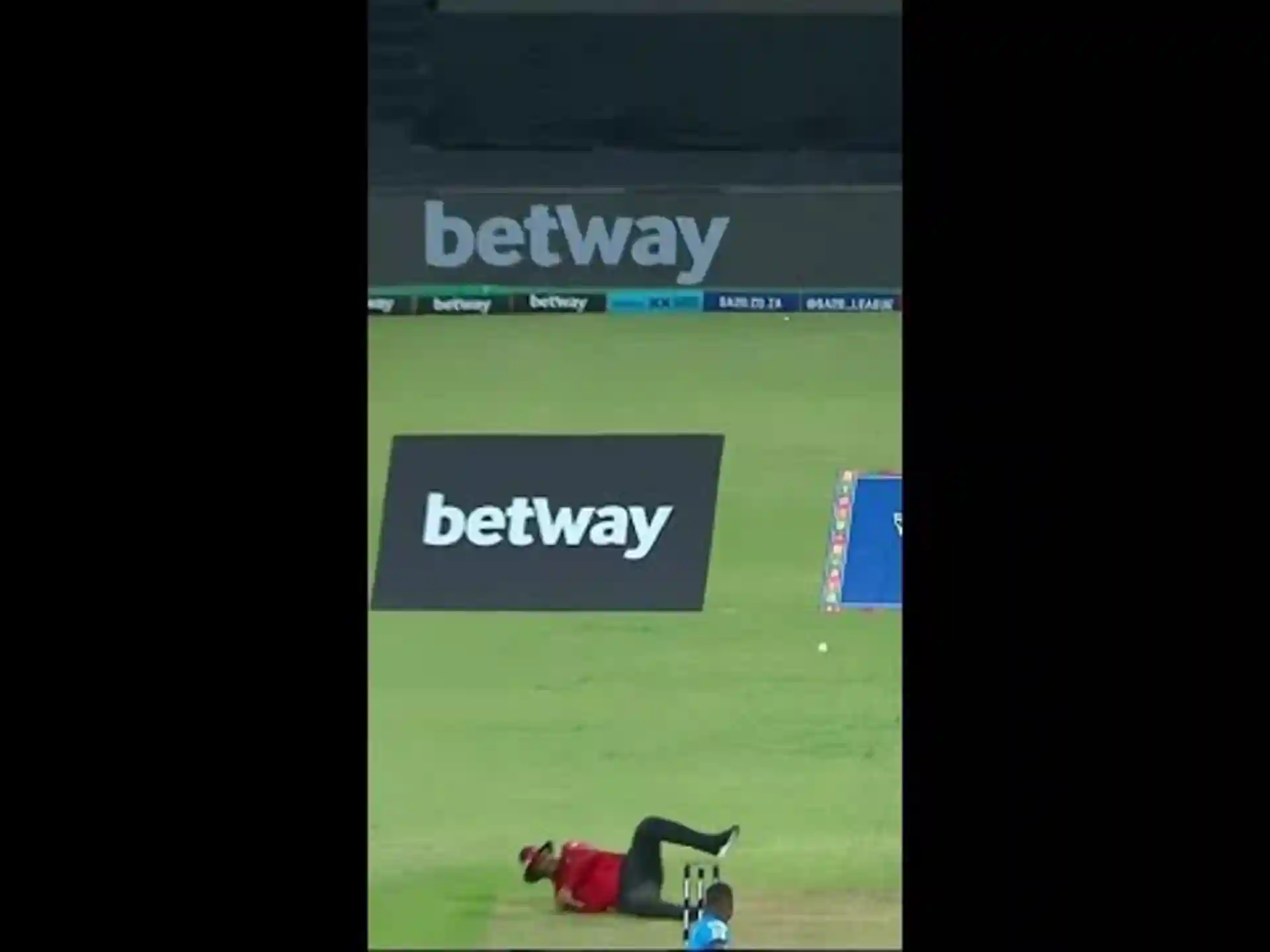 Umpire out for a duck...