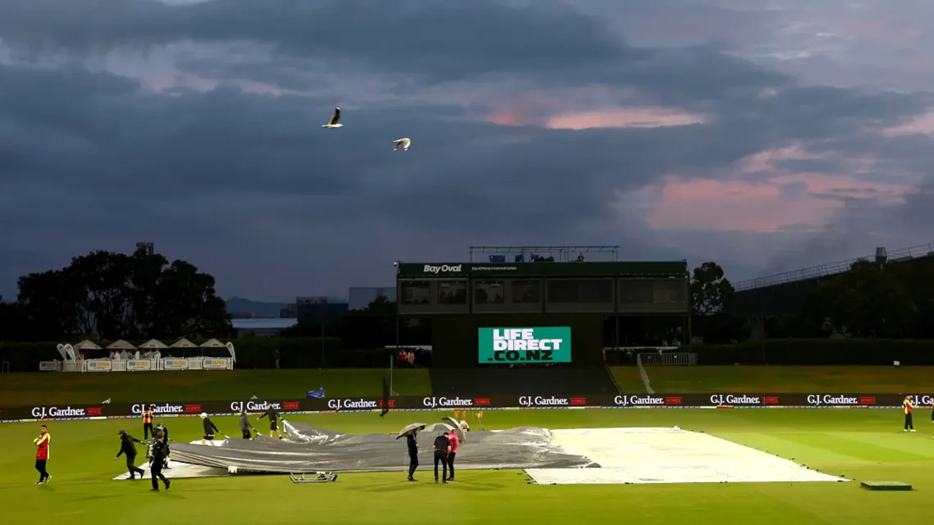 NO FINAL FIGHT: Australia retain Chappell-Hadlee Trophy after NZ T20 washout