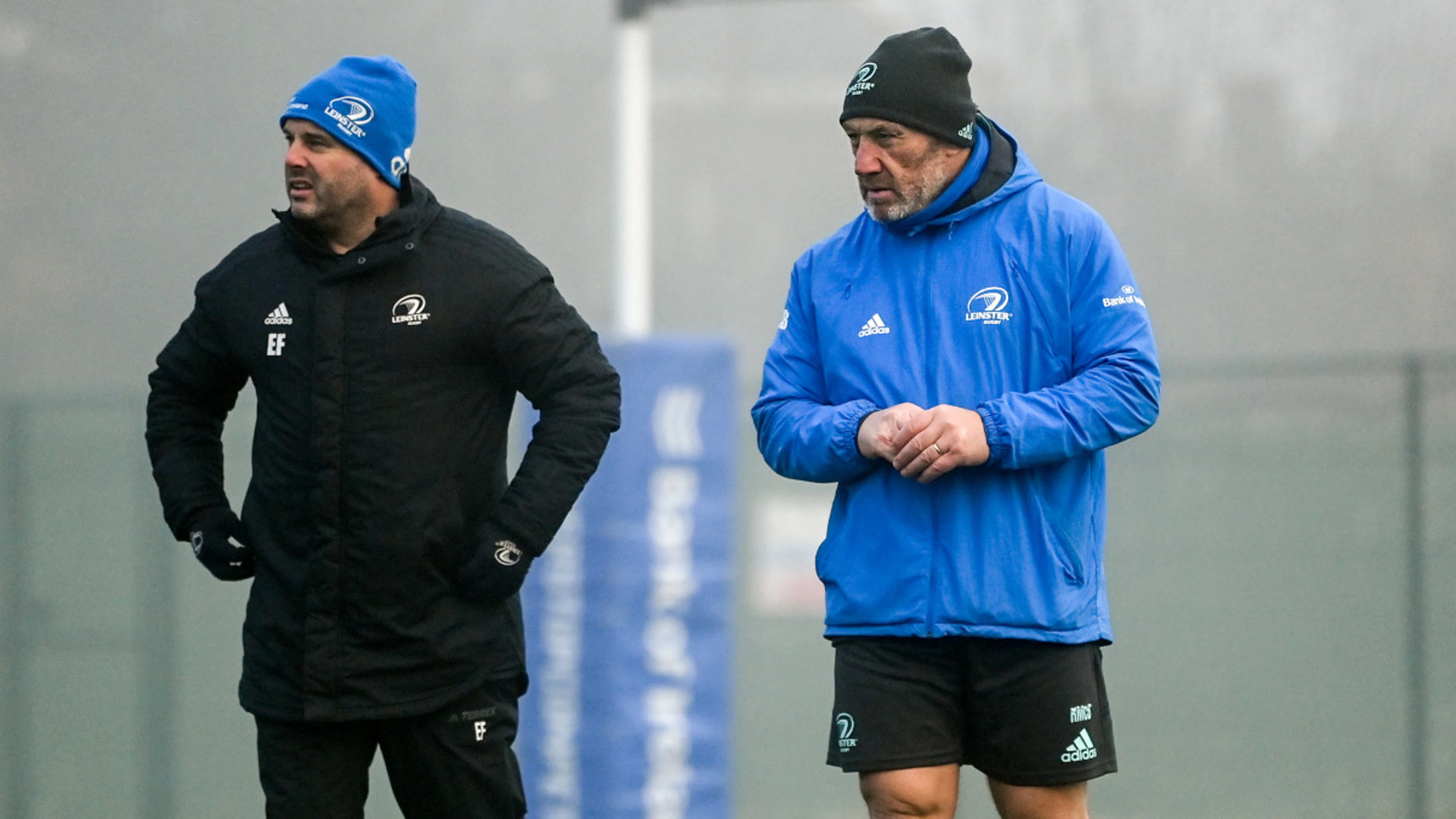 Bulls underdogs at Loftus? Leinster aren't buying it