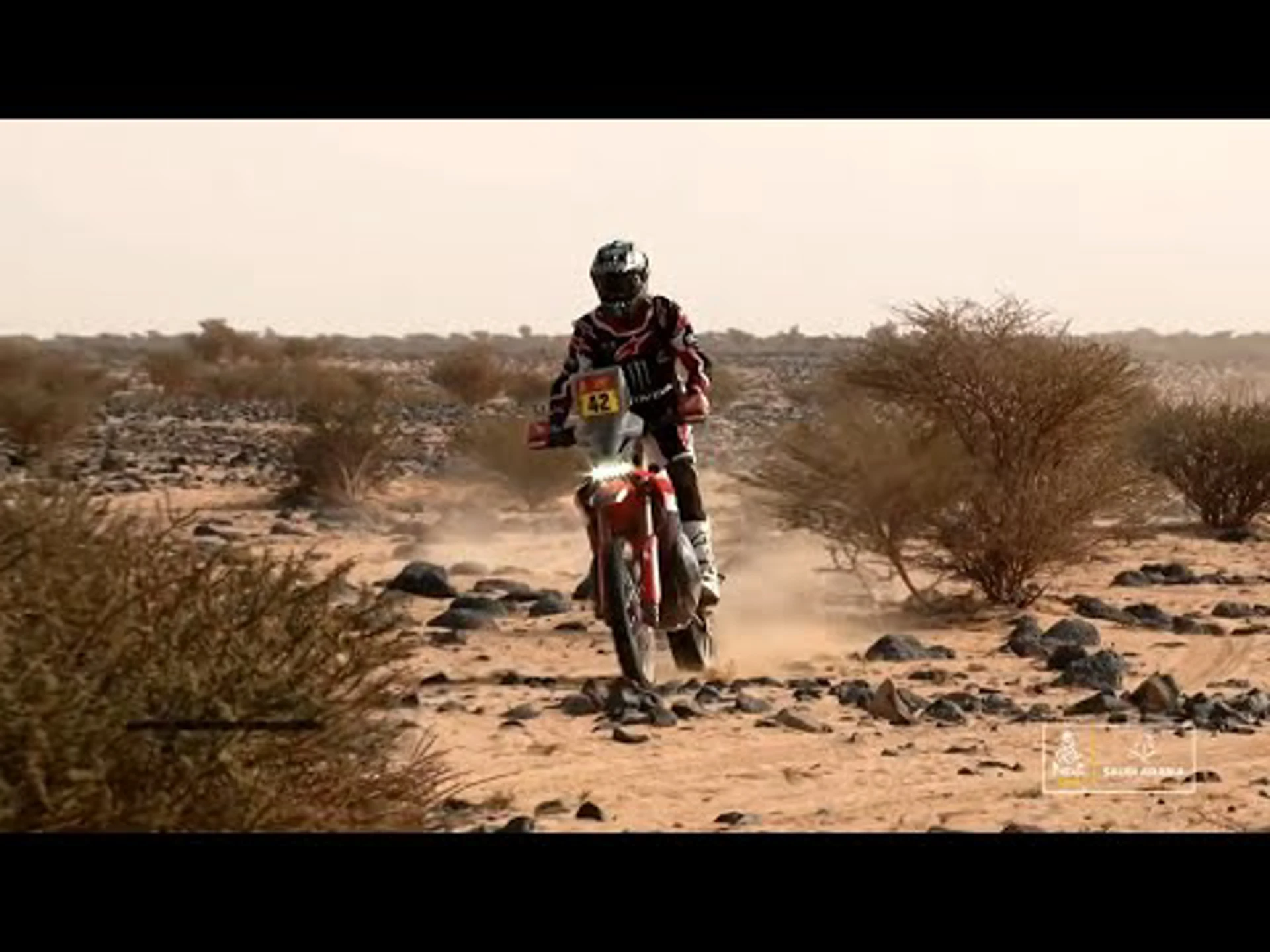 Stage 11 AM | Highlights | Dakar News Flash