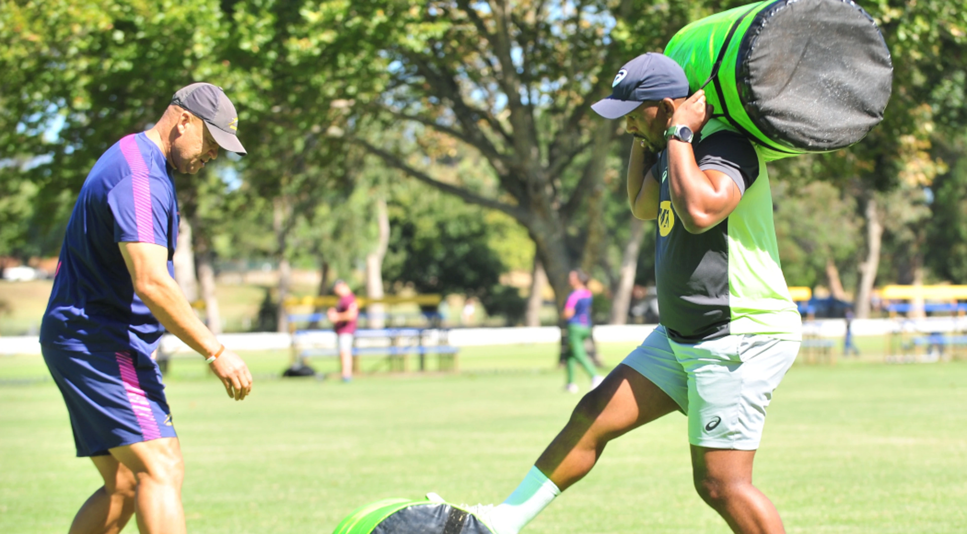 Stick or Davids may succeed Nienaber as Springboks coach