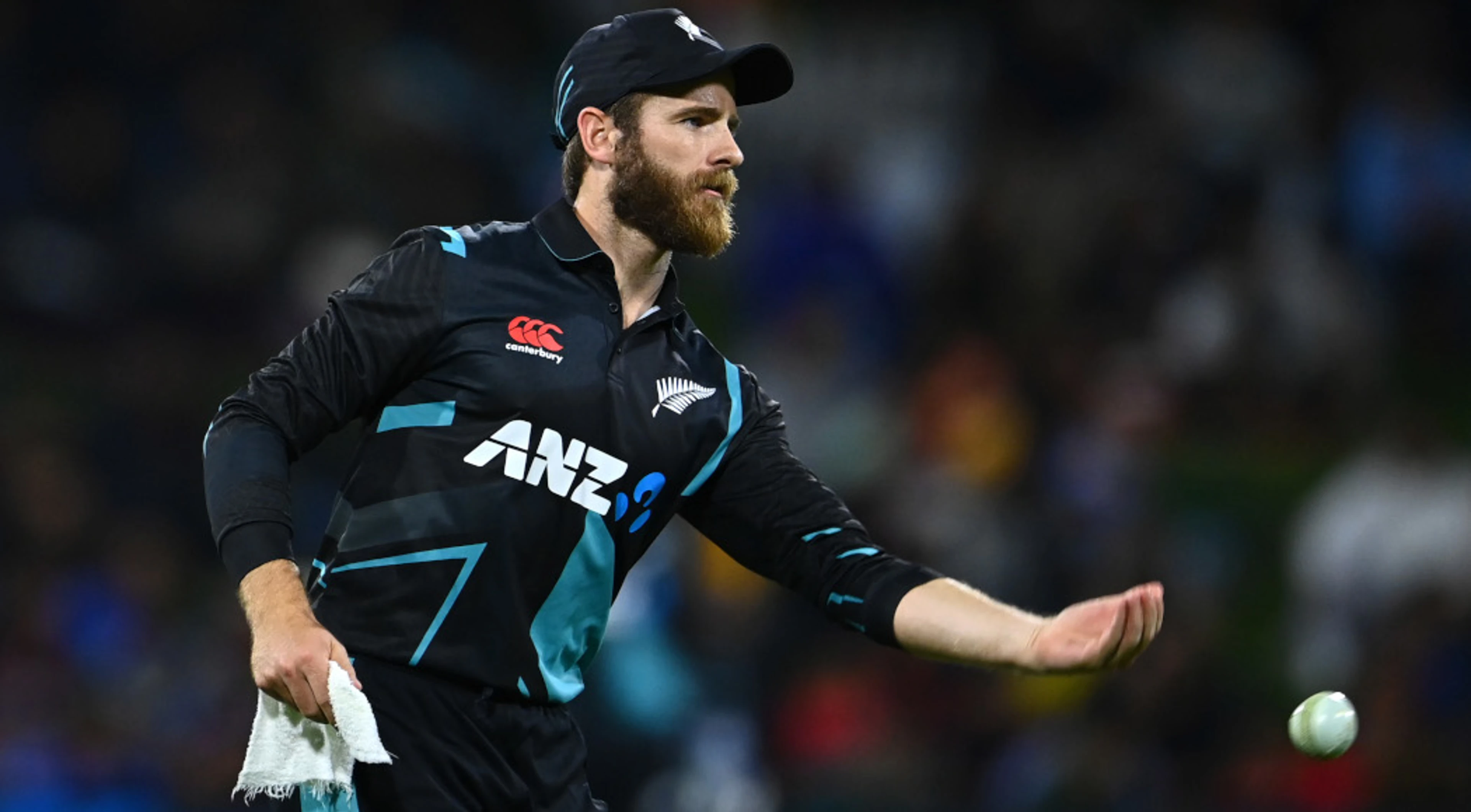 Williamson to miss final India T20 for medical appointment