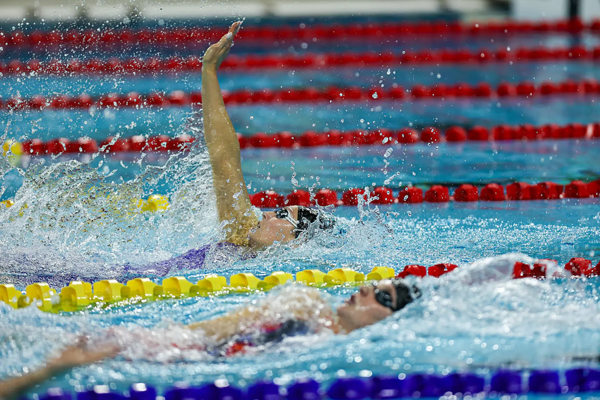 Toronto Day 3 Highlights | World Aquatics Swimming World Cup