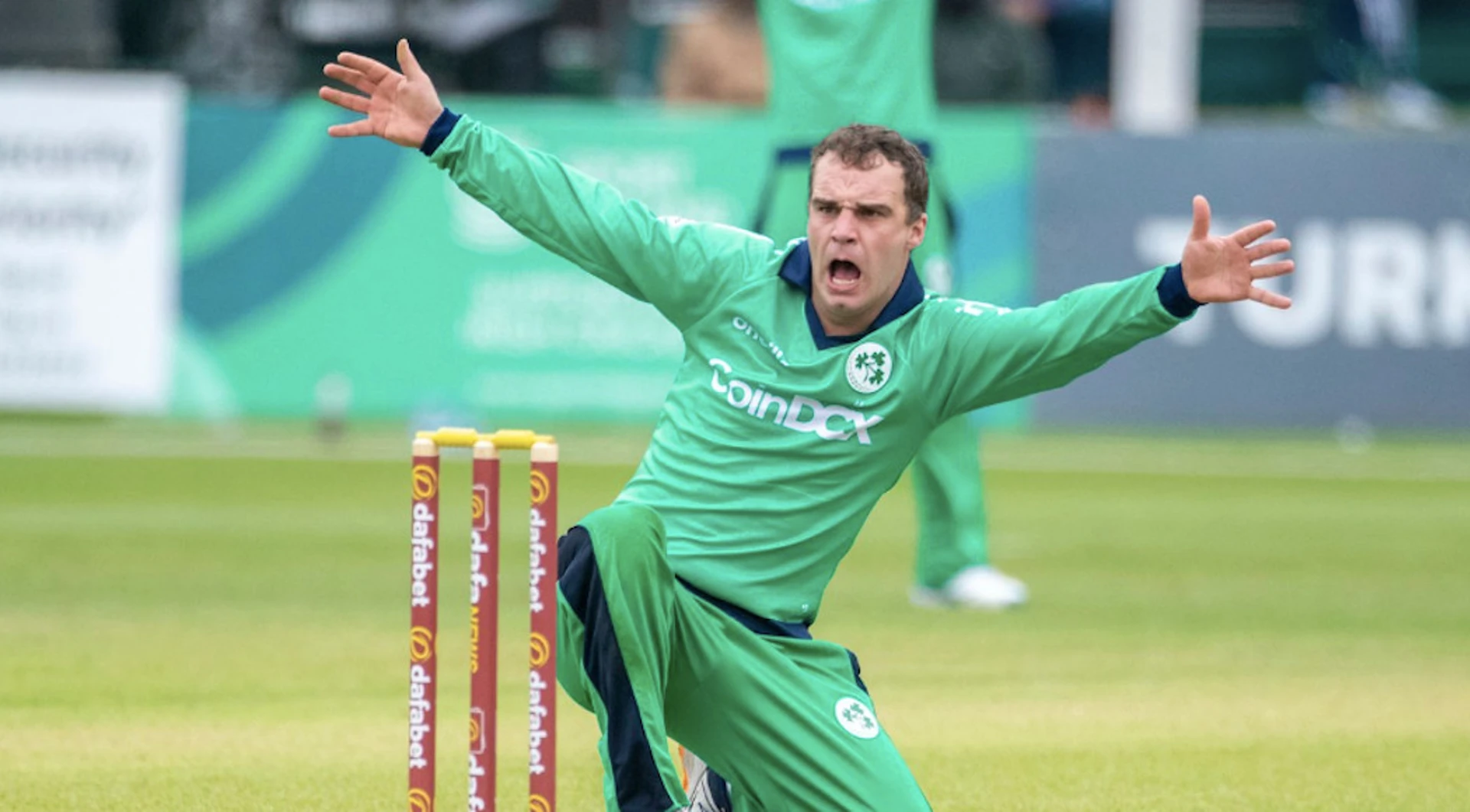 McBrine, Tector star as Ireland defeat West Indies to claim ODI series