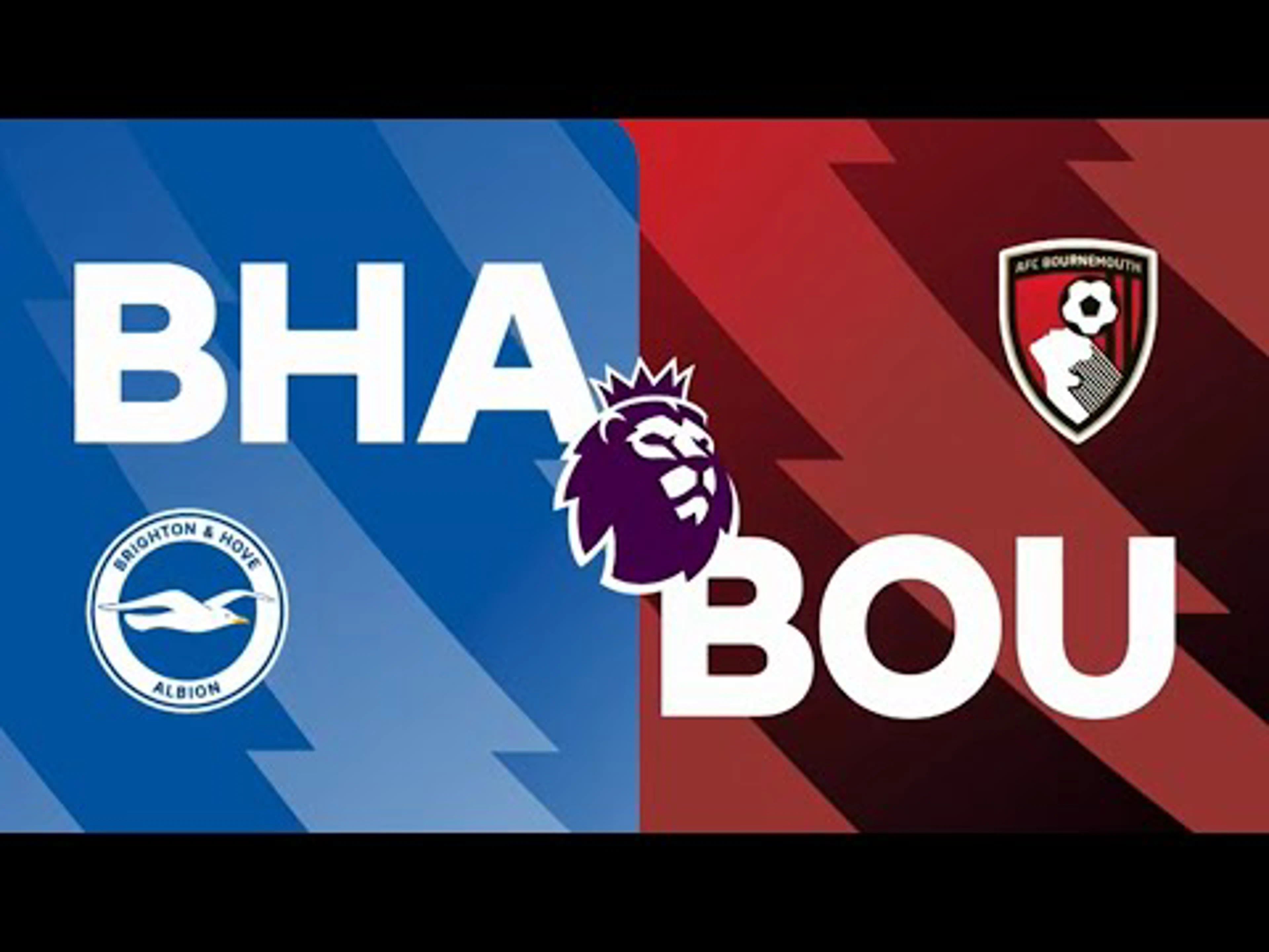 Brighton v Bournemouth | Match Preview | Premier League