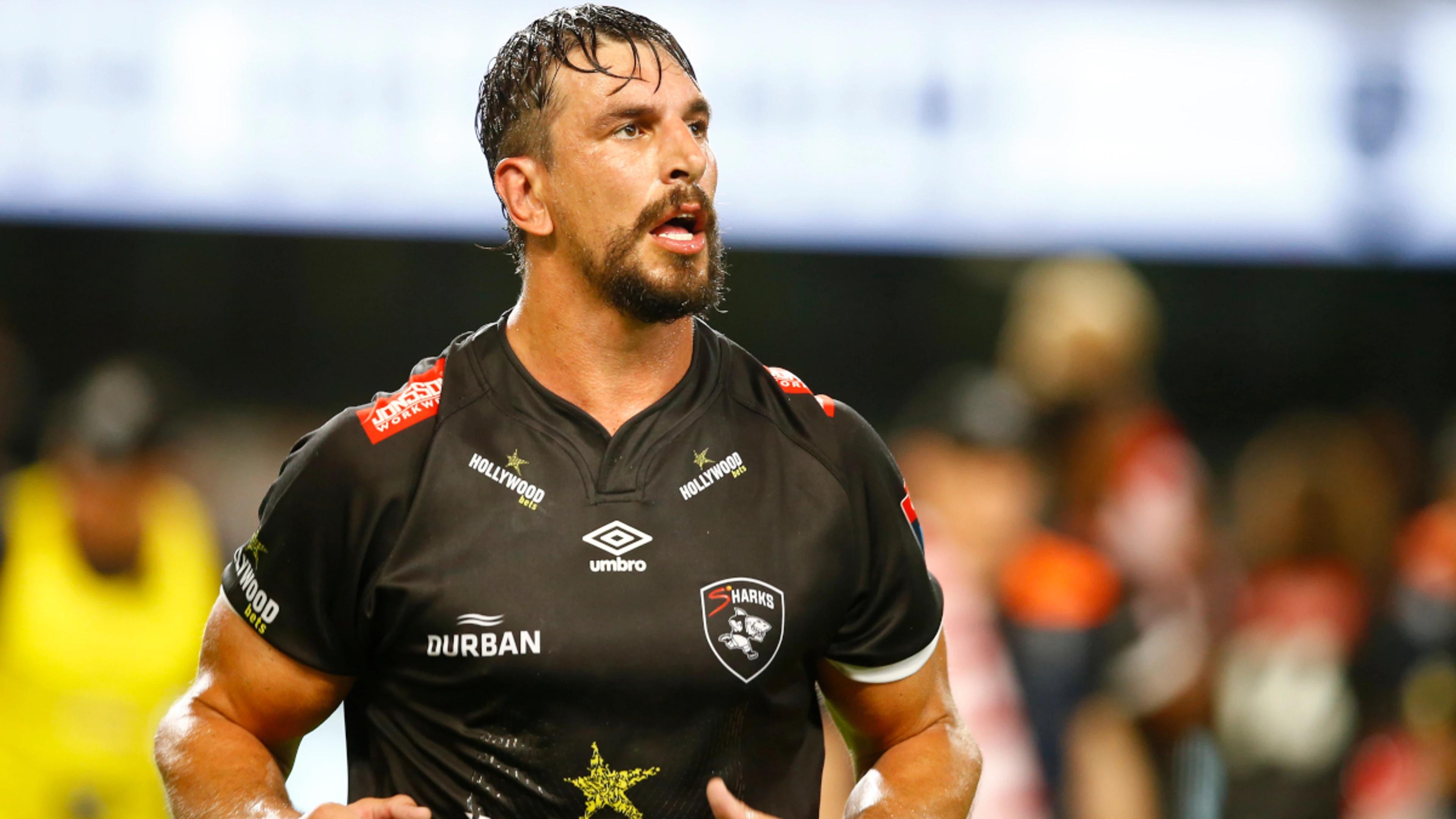 New URC Shield format brings extra edge to Loftus derby