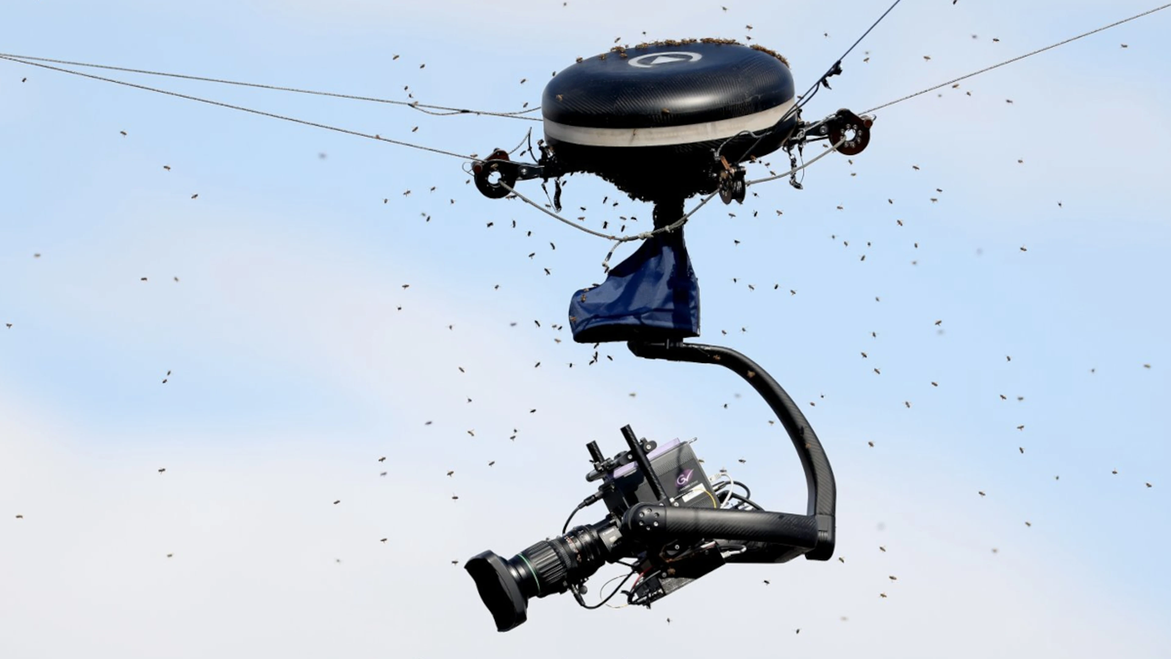 Bee-zarre: Bees stop Alcaraz-Zverev match at Indian Wells