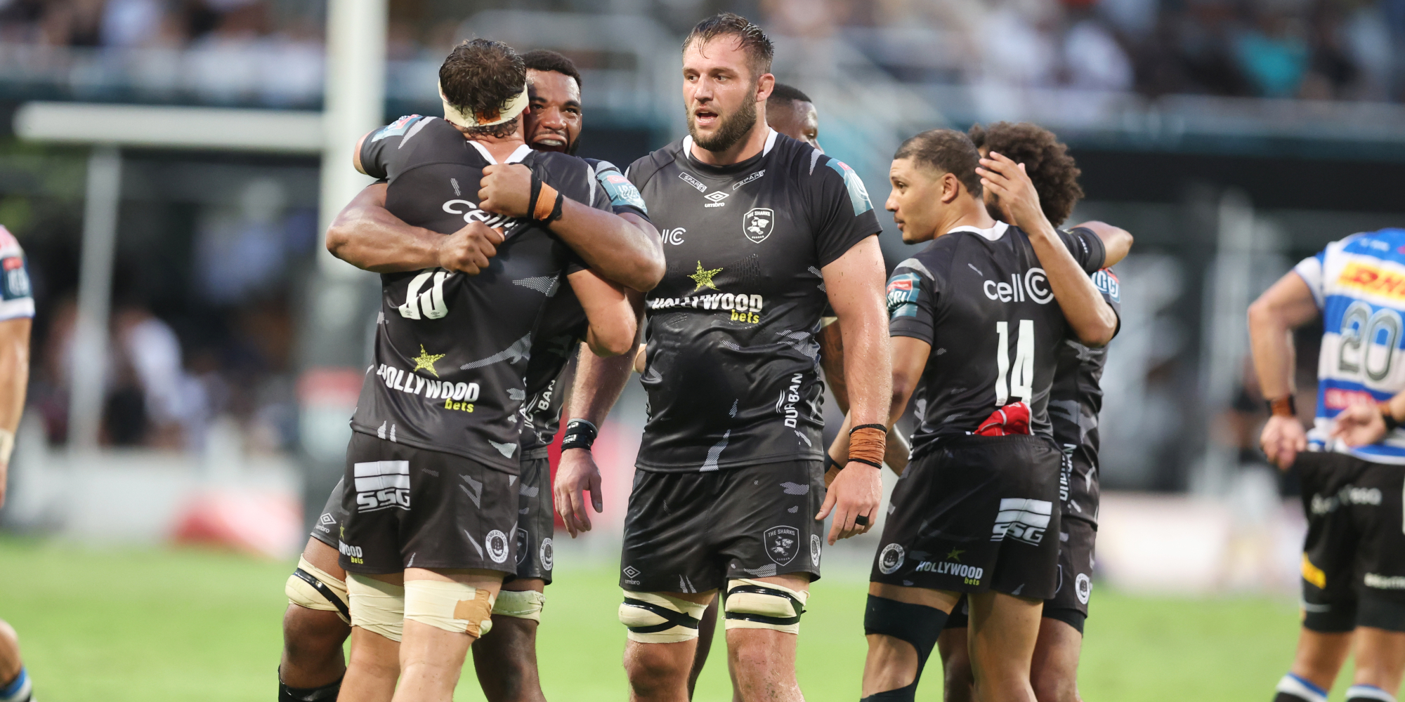 Sharks under JP are walking the walk rather than talking the talk