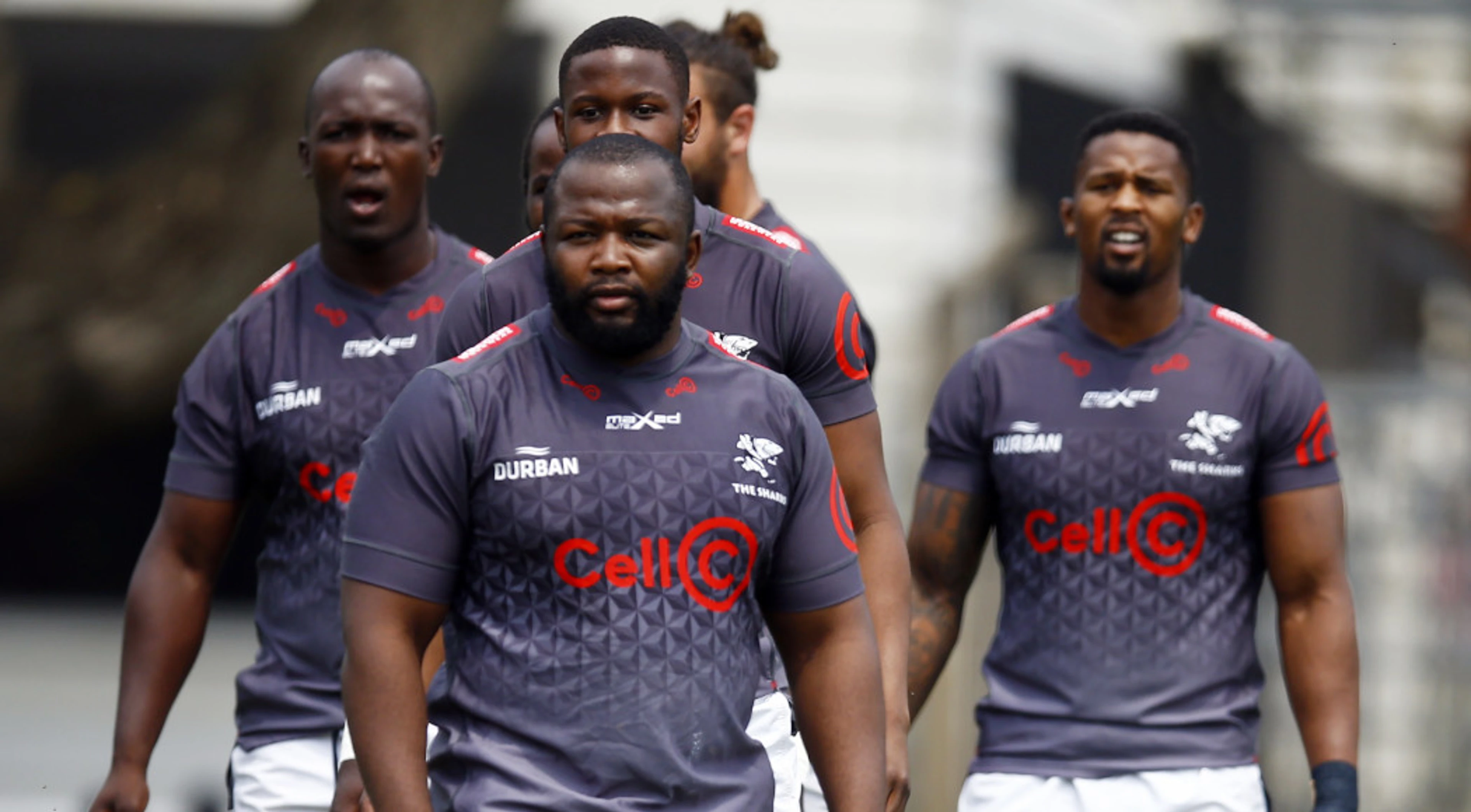 Sharks bring back their big guns