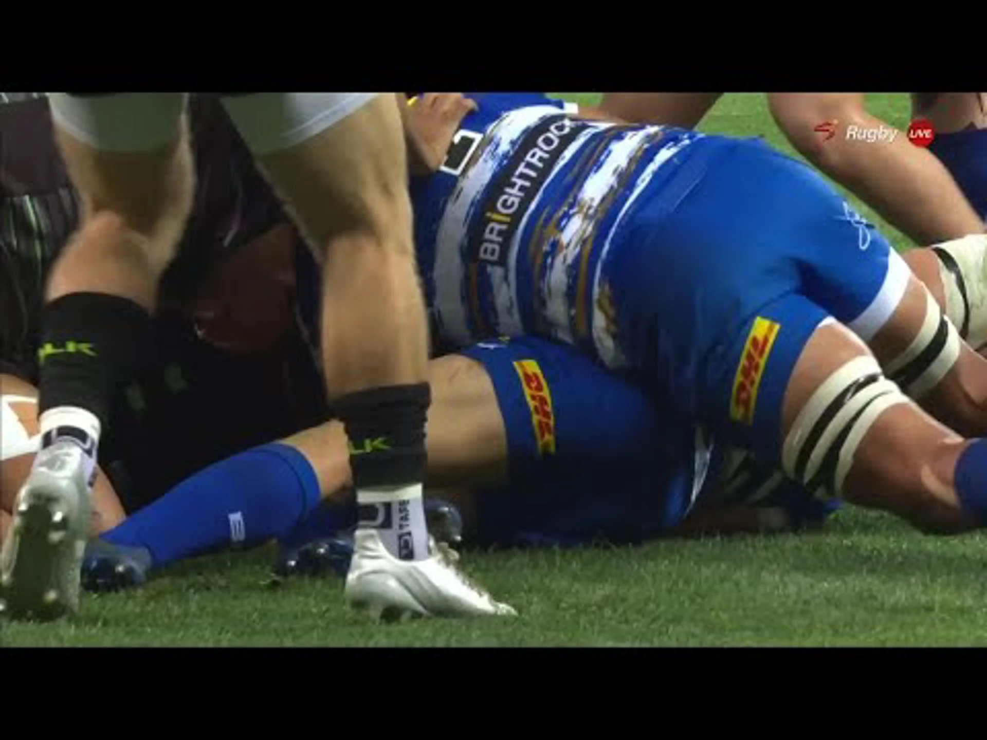 Champions Cup | Mike Willemse  With a Try vs. Stormers