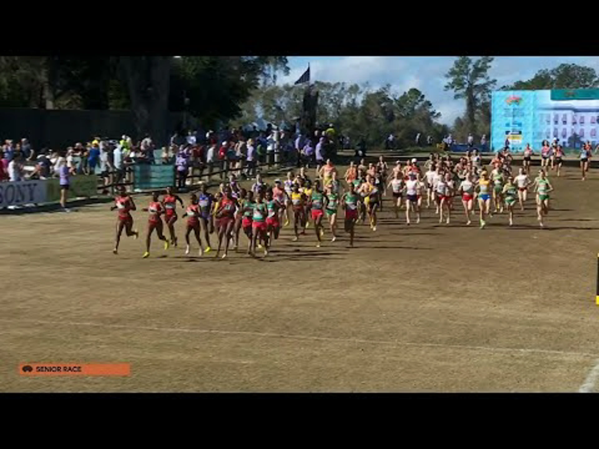 Senior Race Women | Race Highlights | World Athletics Cross Country Championships