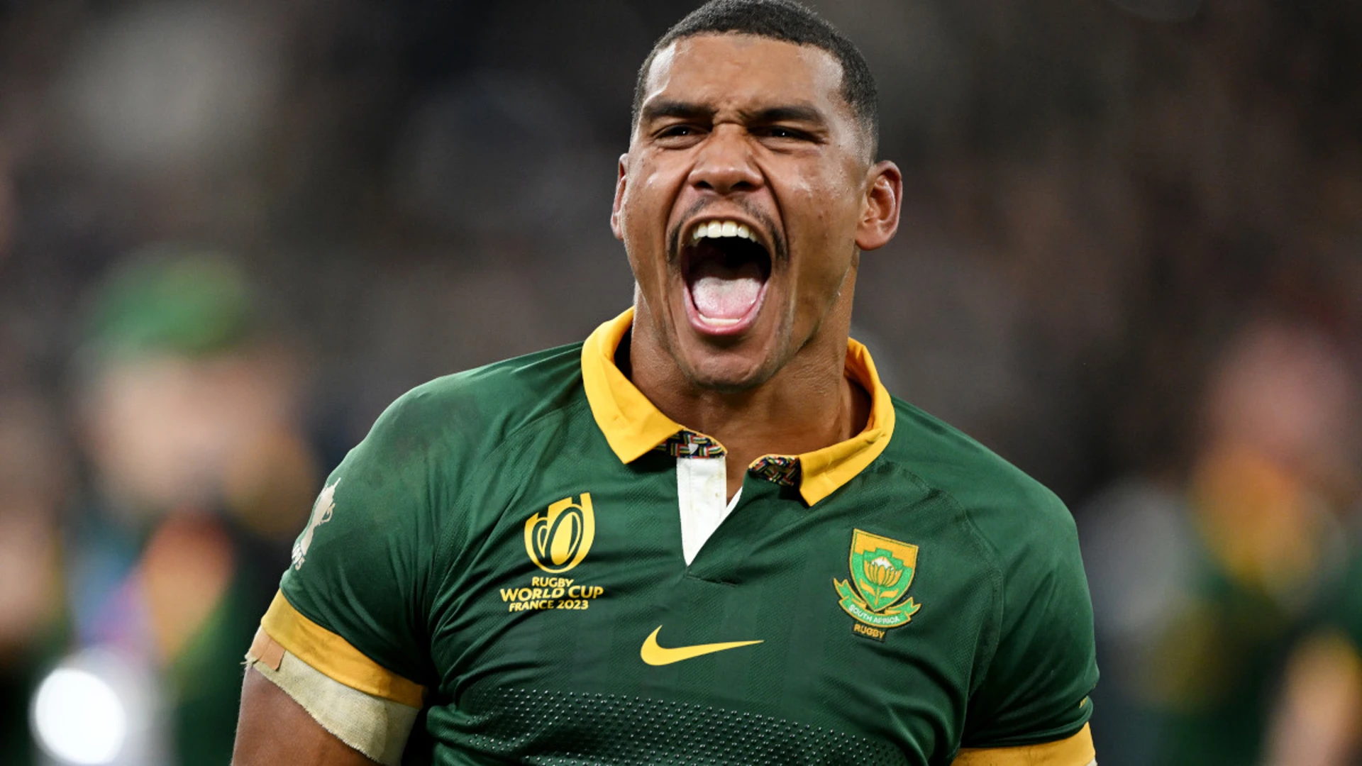 Willemse out of Bok tour as Hanekom replaces him