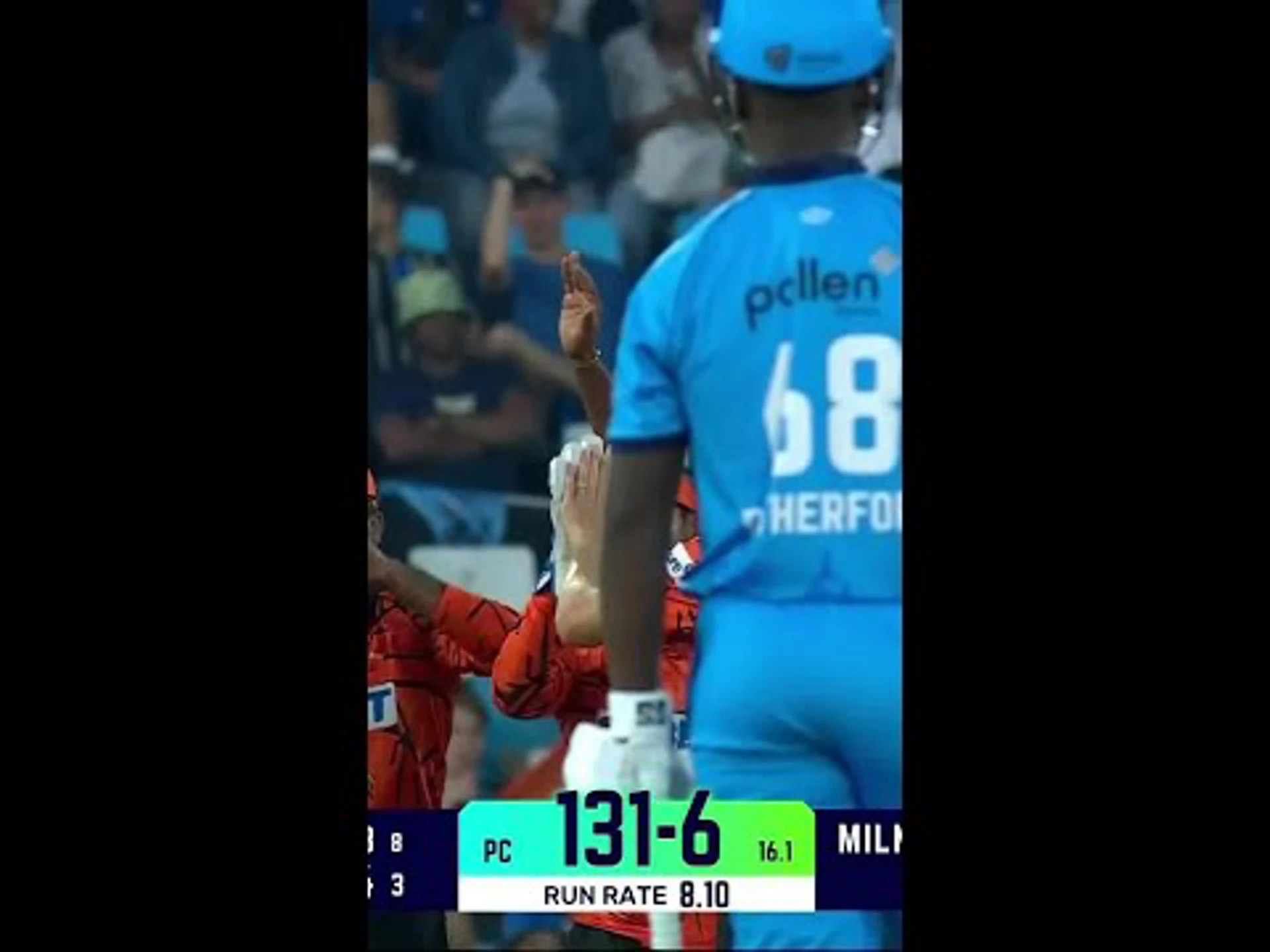 Quinny the Cat pulls off another stunning catch!