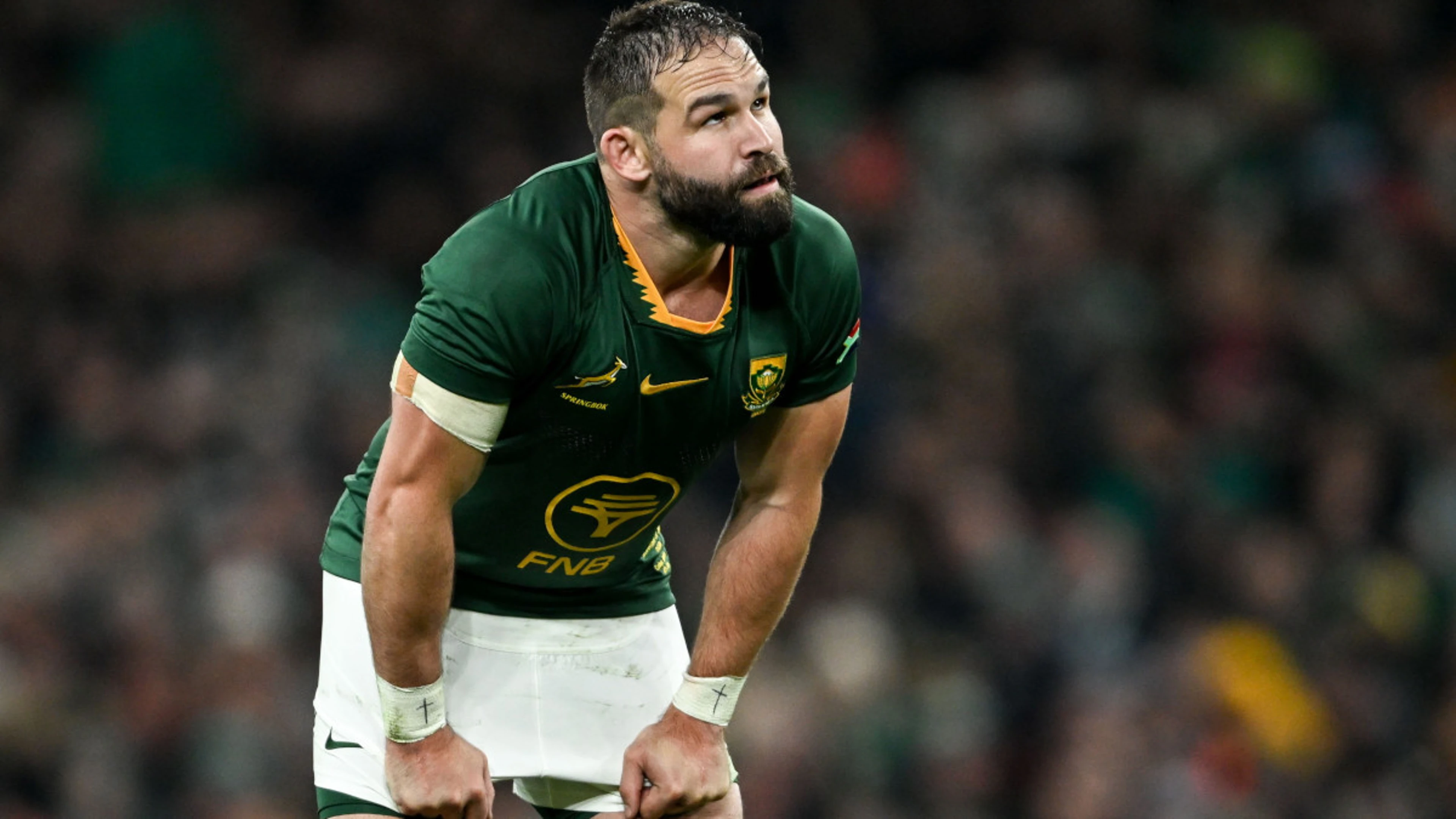 CARDIFF PREVIEW: Boks look to sign off 2025 with crushing win