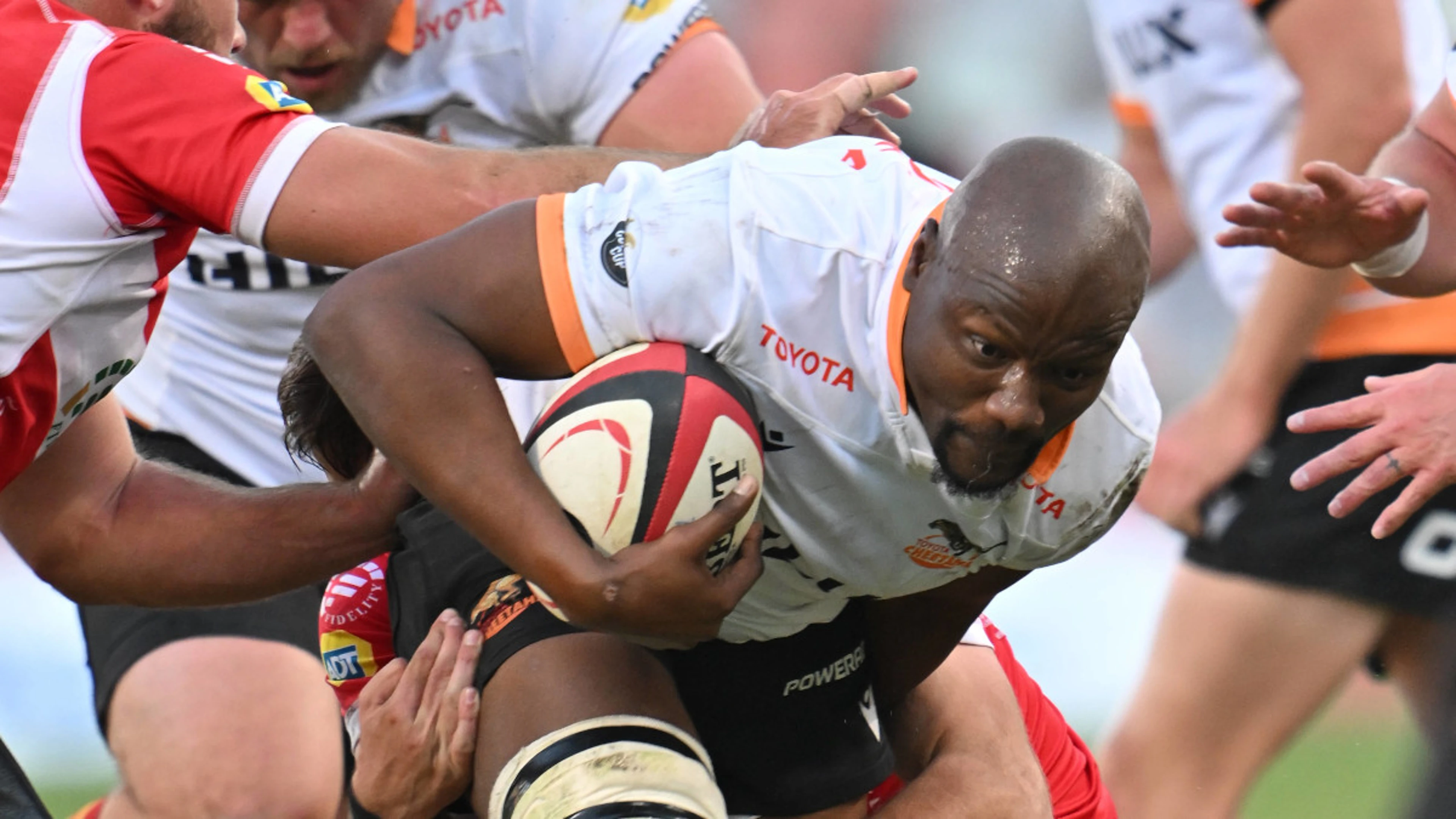 Mohoje back for Cheetahs