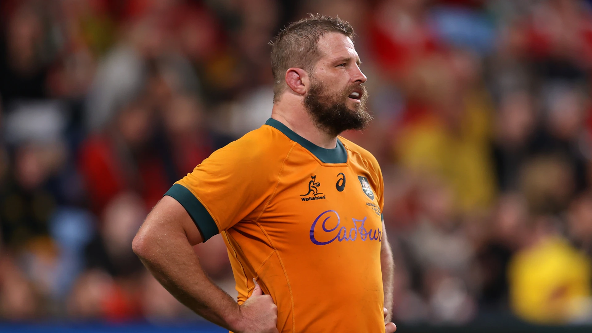 Slipper to captain Australia against Wales after Wright ruled out