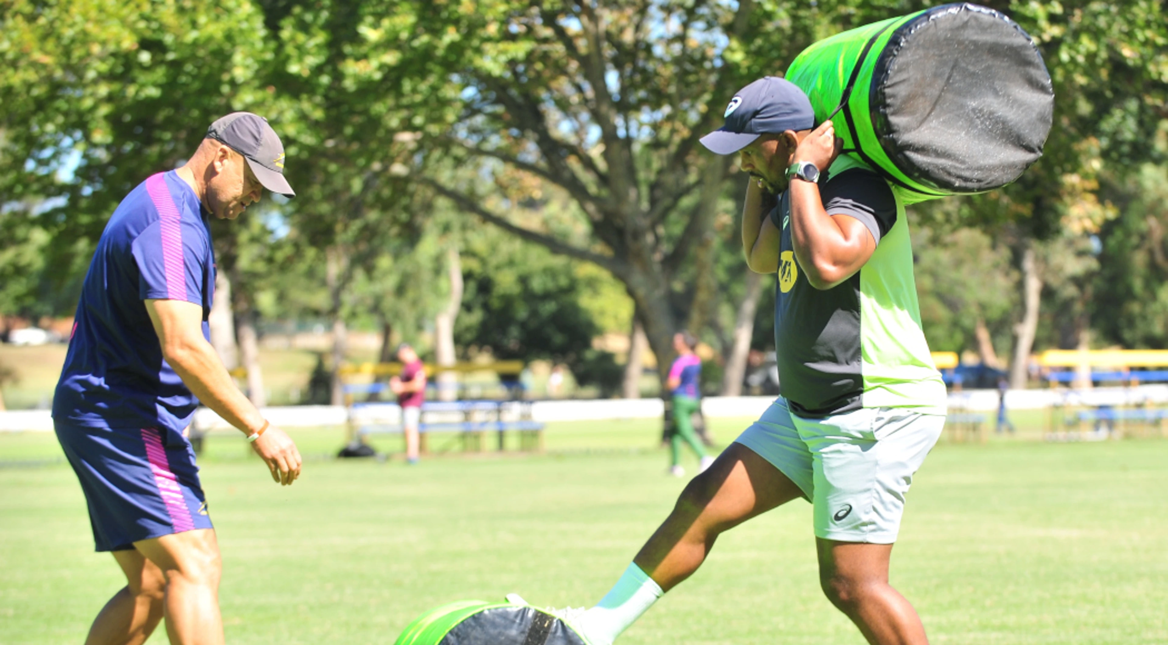 Stick, Davids likely as Nienaber successors after contract renewals