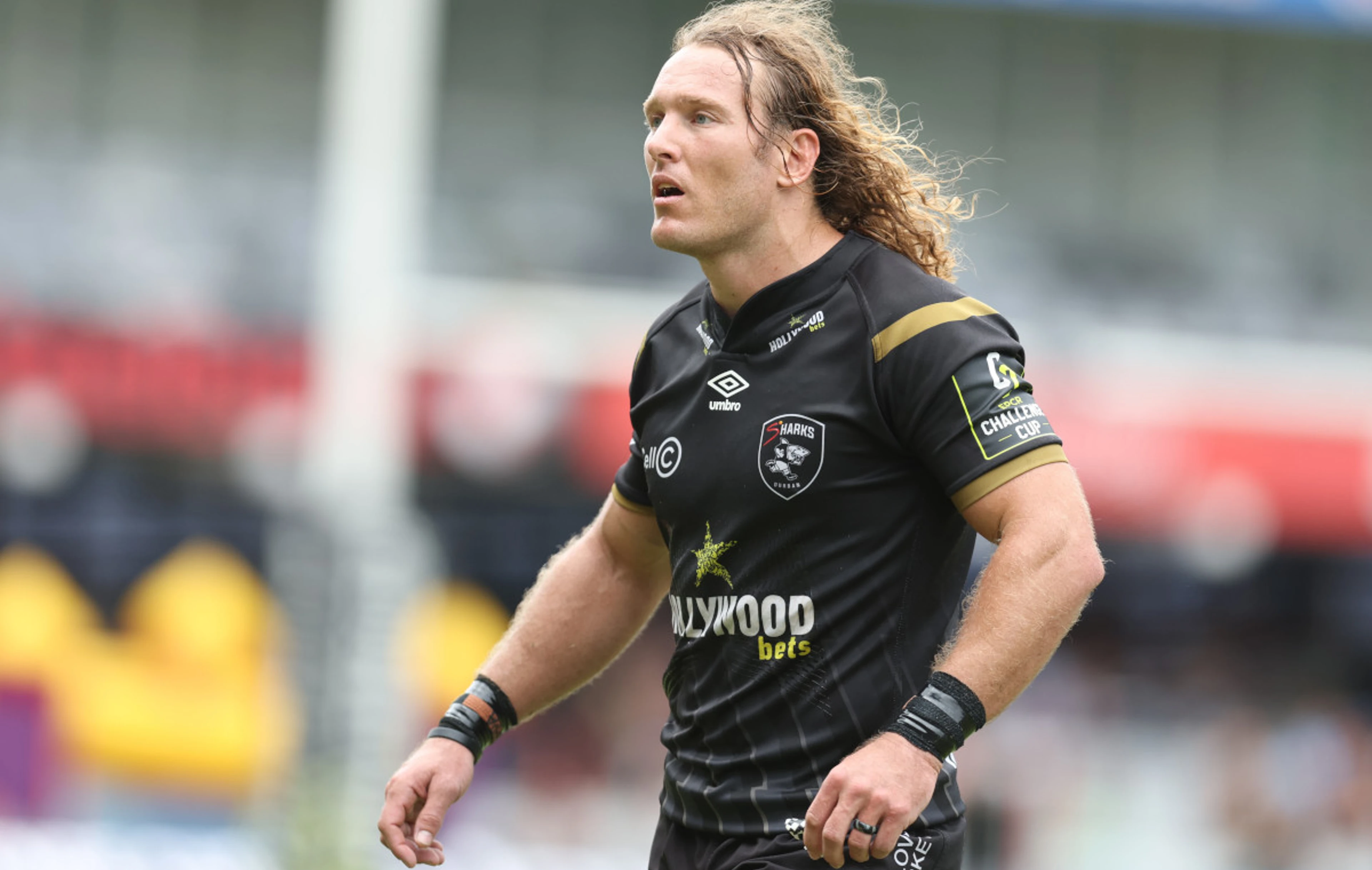 Kok attributes Sharks turnaround to culture change