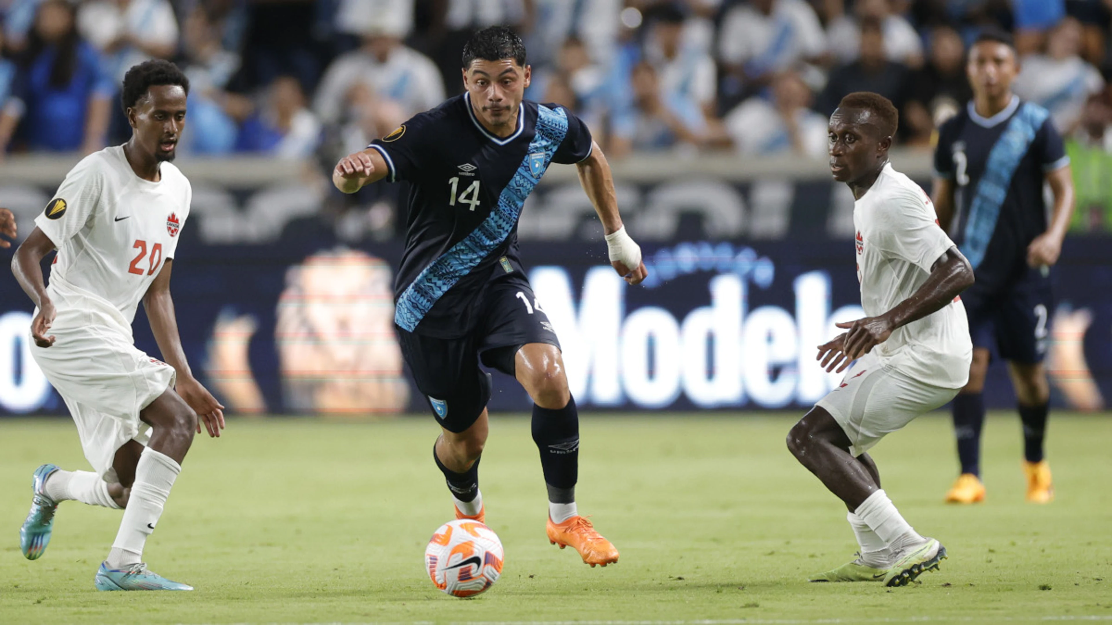 Canada and Guatemala through, agony for Guadeloupe