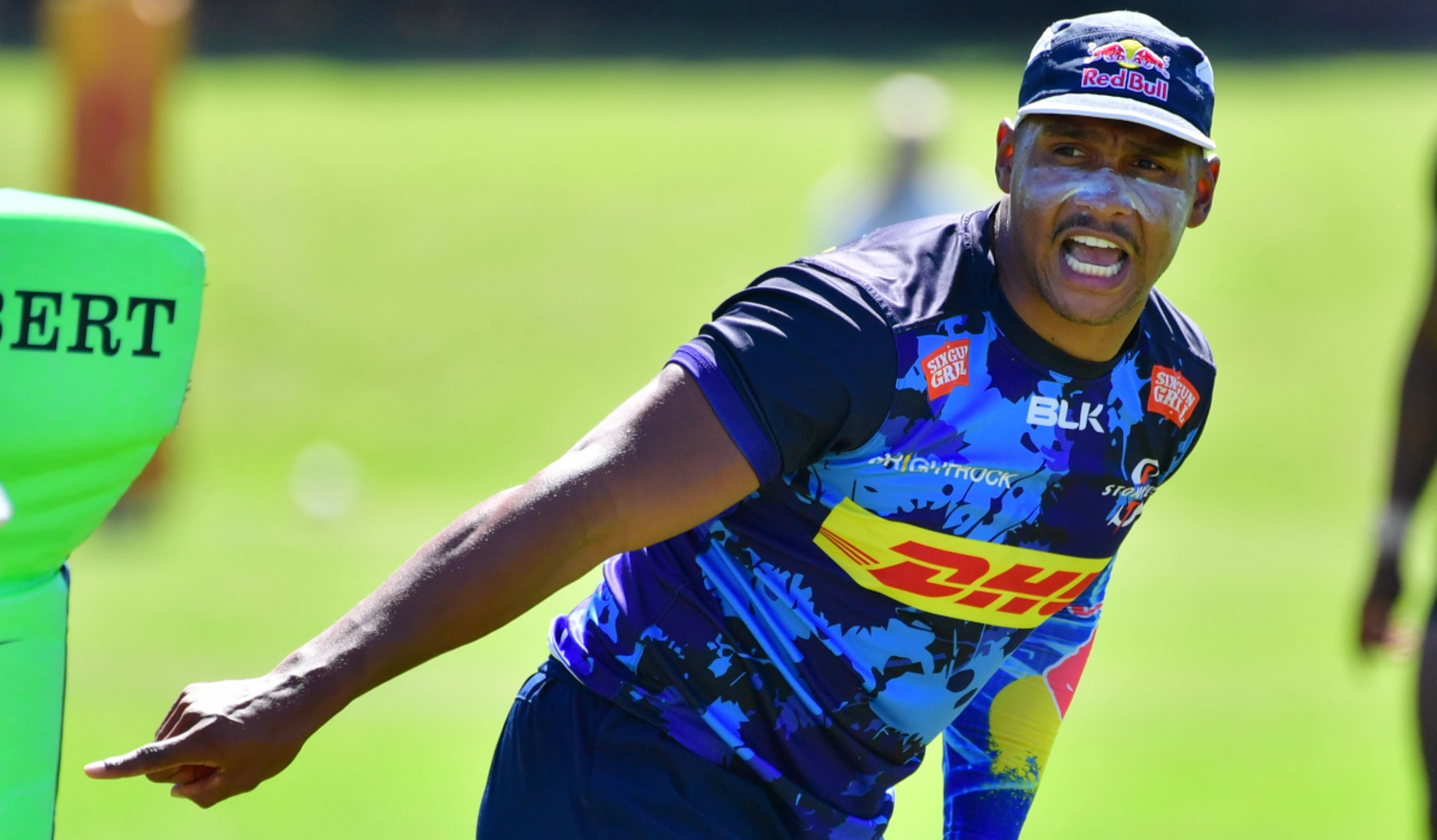 Willlemse plays off bench as eight Boks start for Stormers