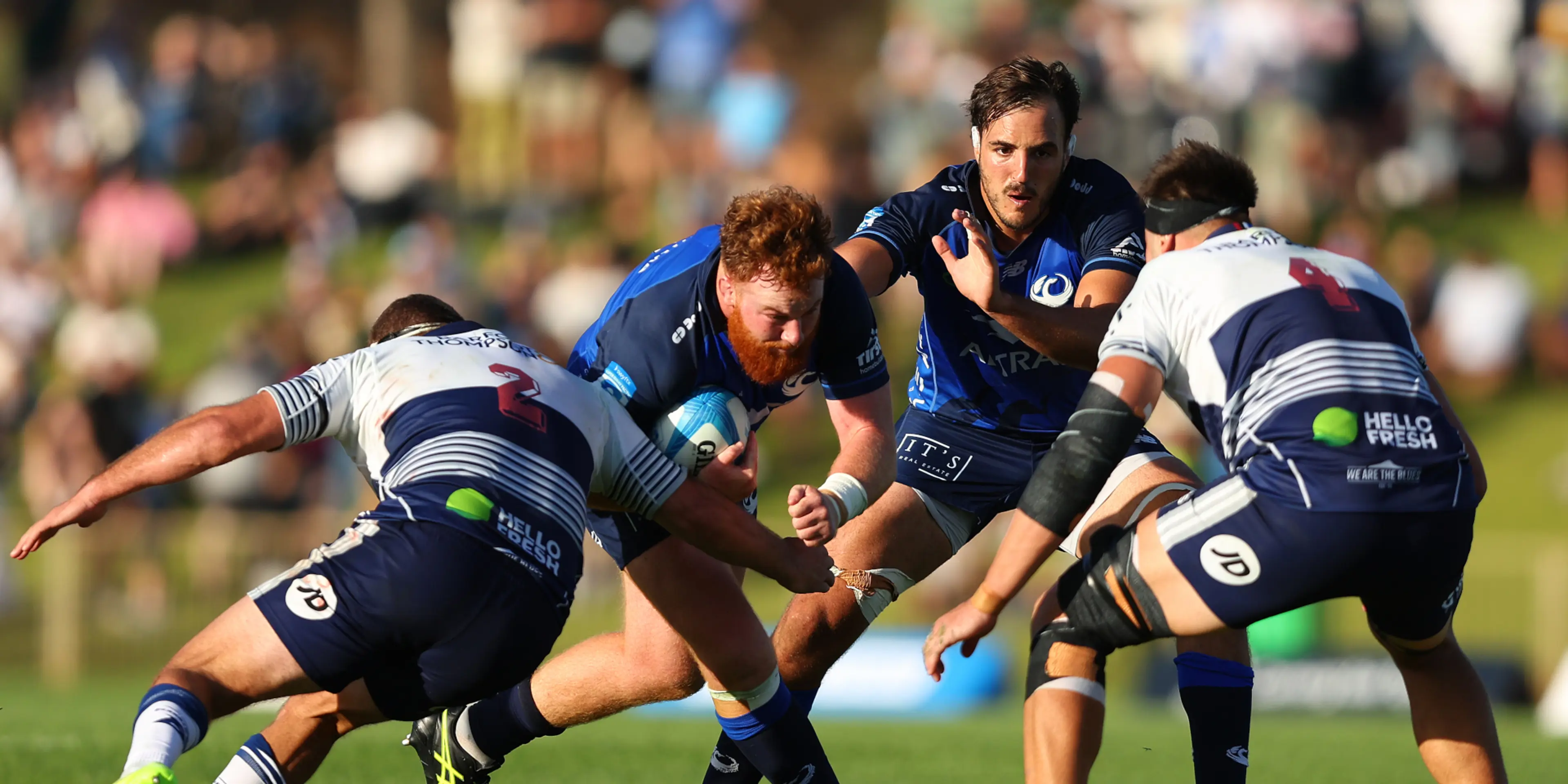 Cron laments errors after Force crash to Blues in Super Rugby