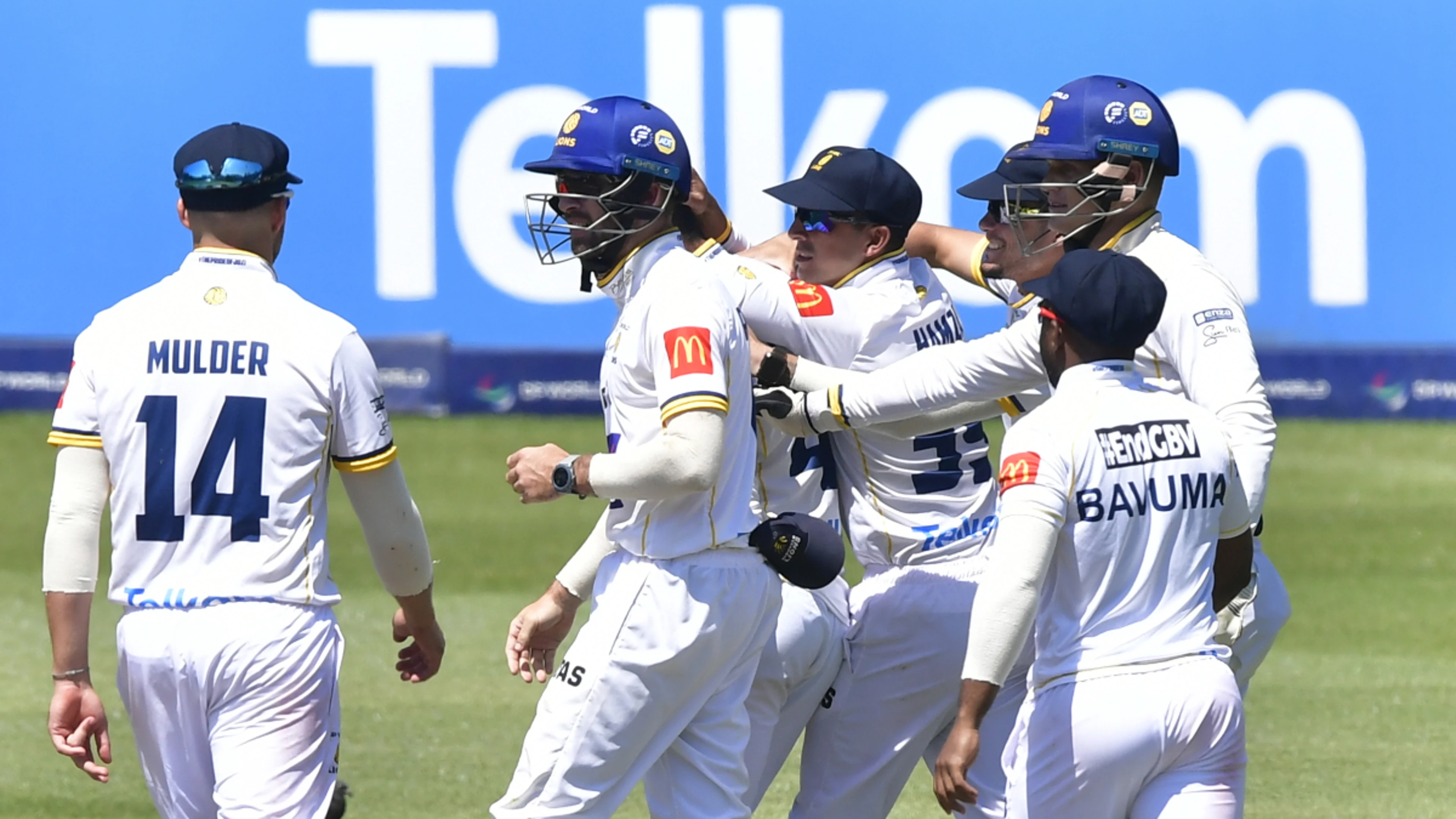 Big season for vibrant Lions 