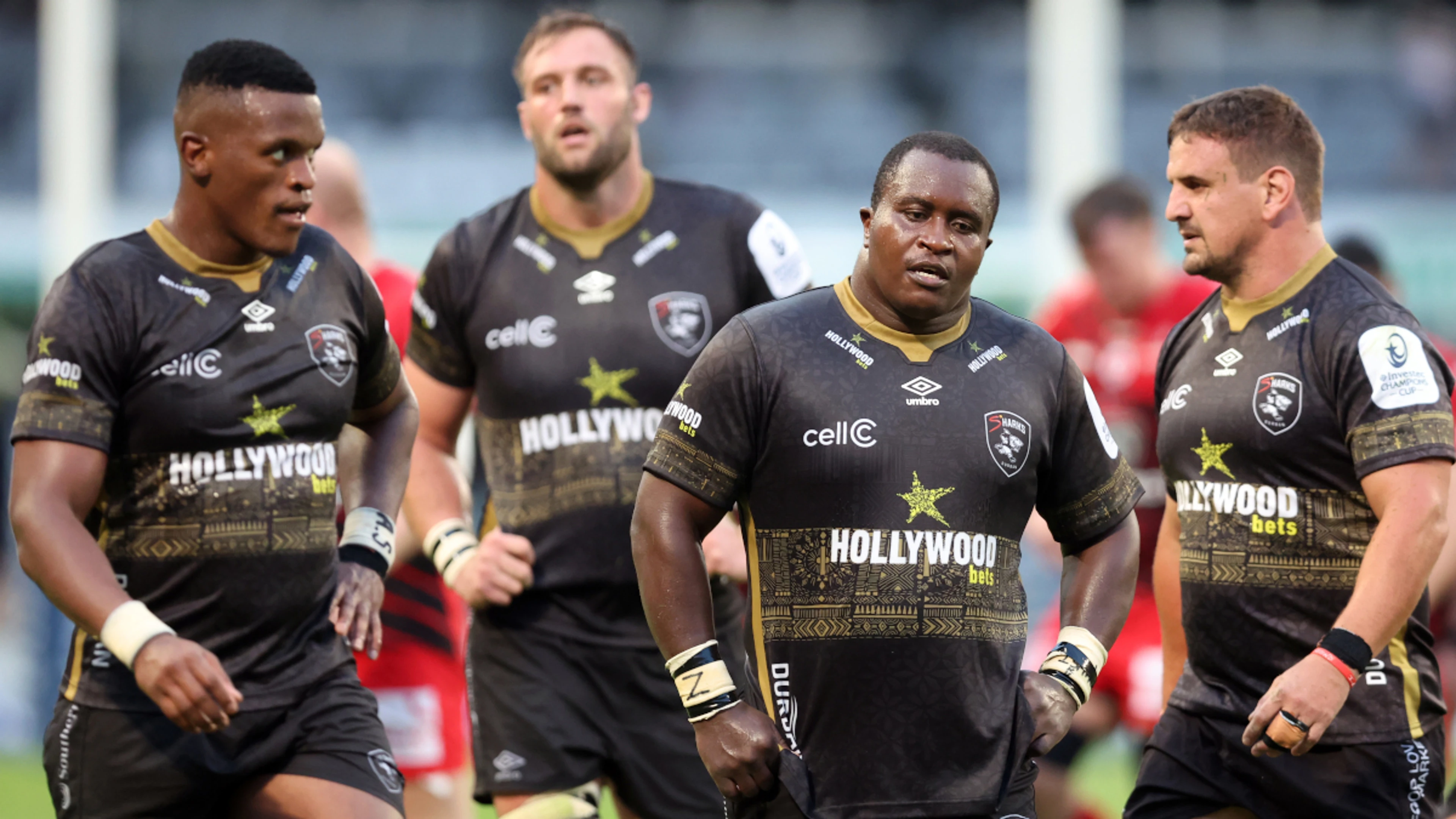 Young Saracens fight back to beat Sharks Invitation team