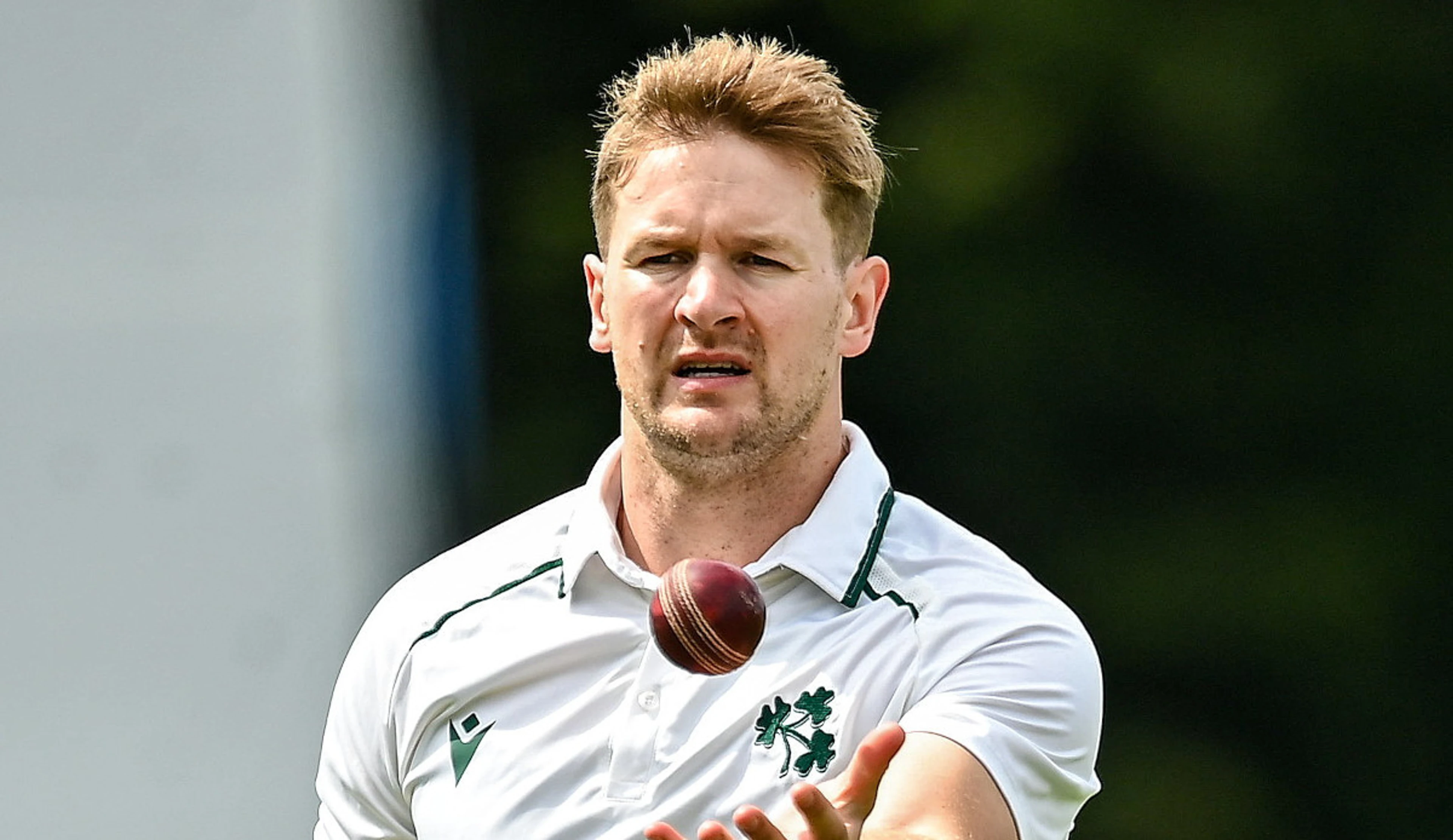 McCarthy strikes as Ireland fight back in Zimbabwe test