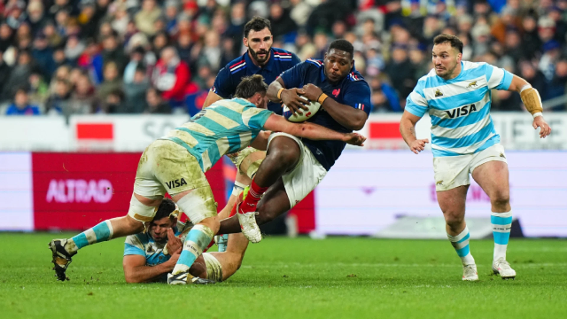 France v Argentina | Match Highlights | Autumn Internationals