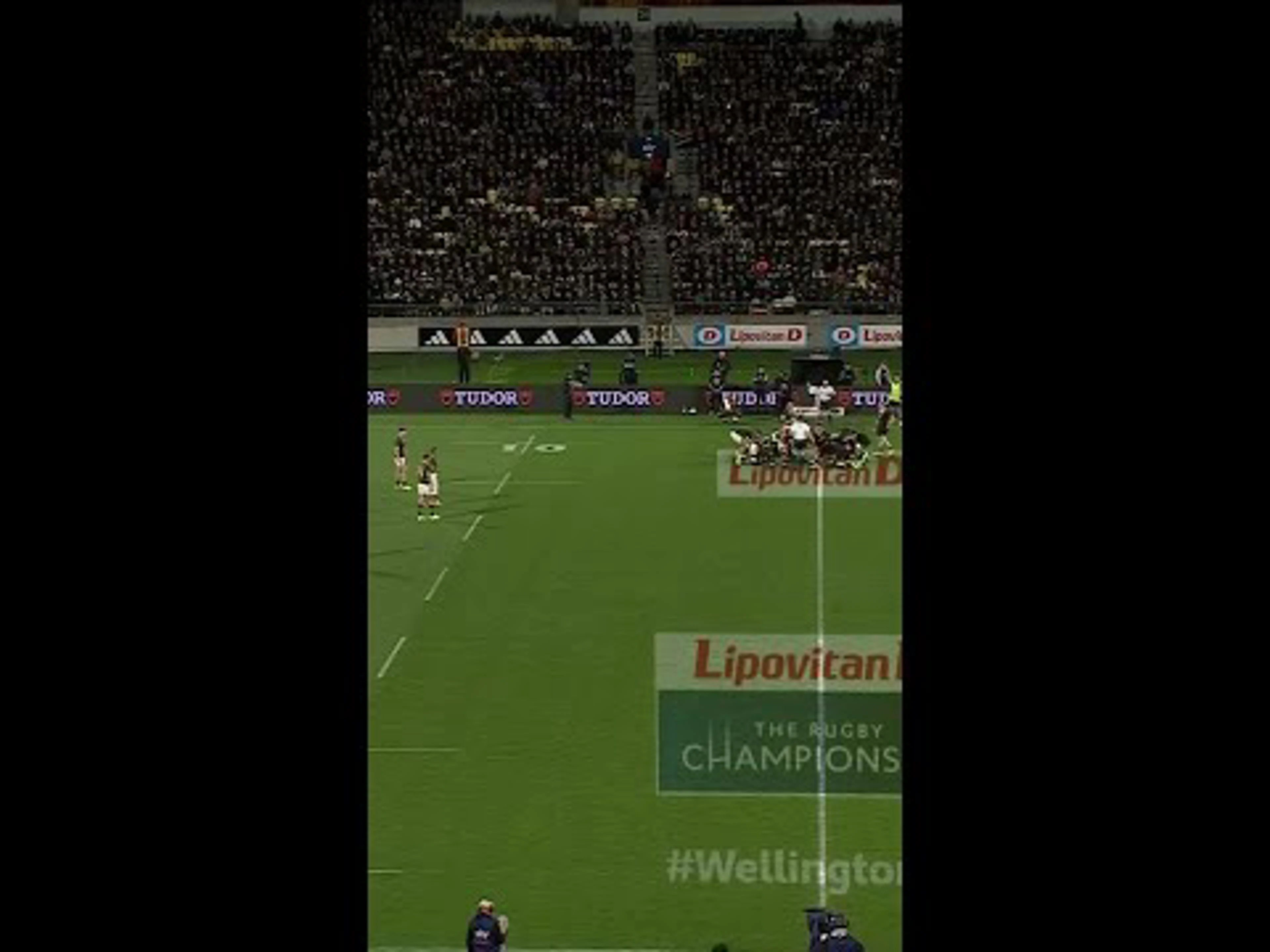 Springbok perfection