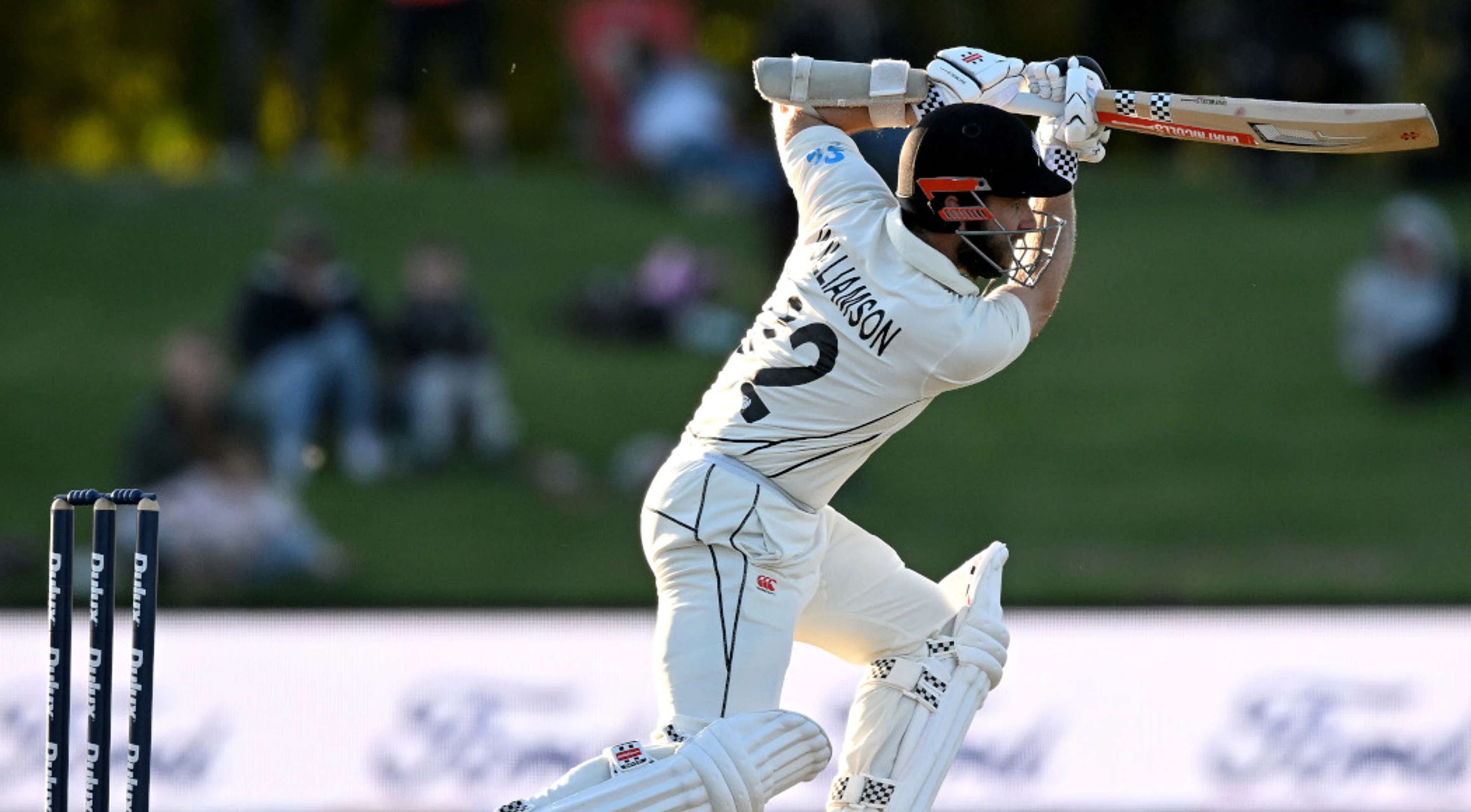 Williamson leads New Zealand to last-ball win over Sri Lanka