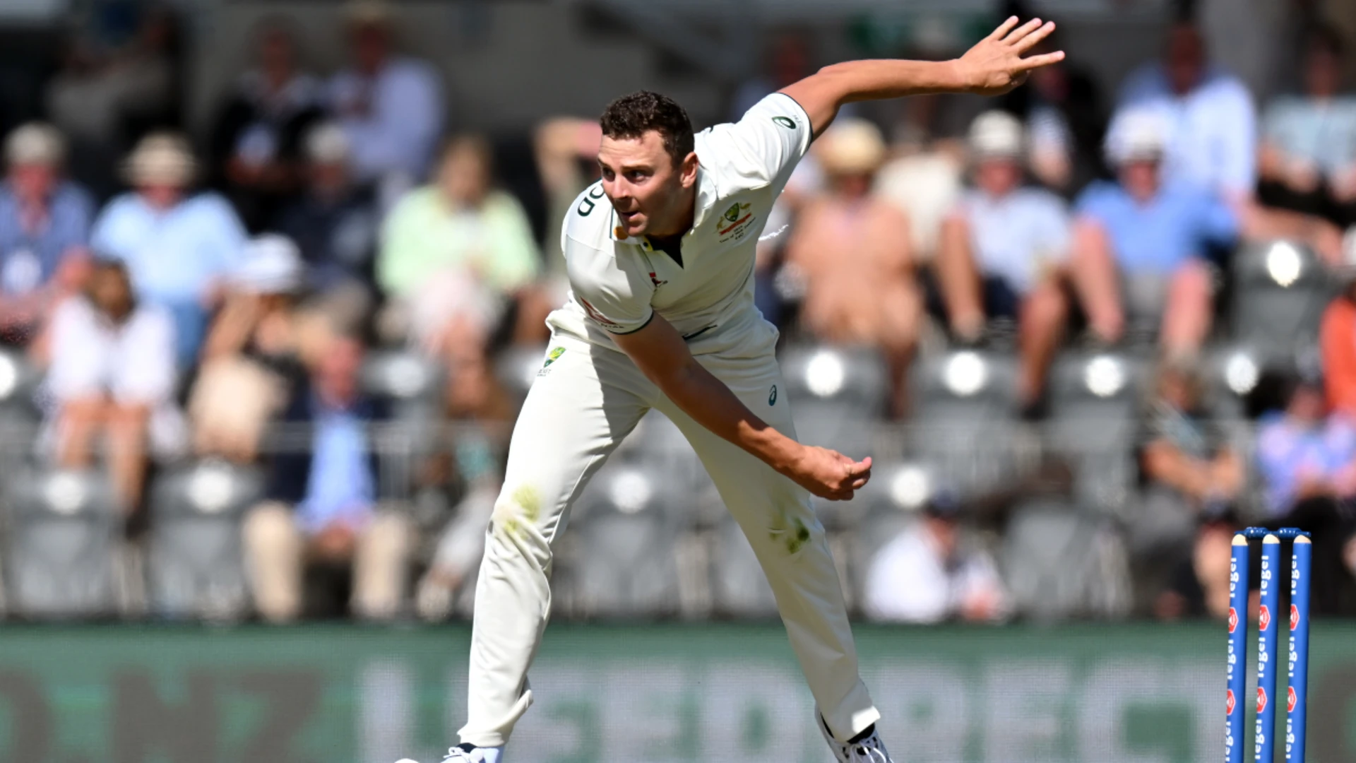 Hazlewood stars as Australia dominate day one against NZ