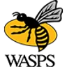 Wasps logo