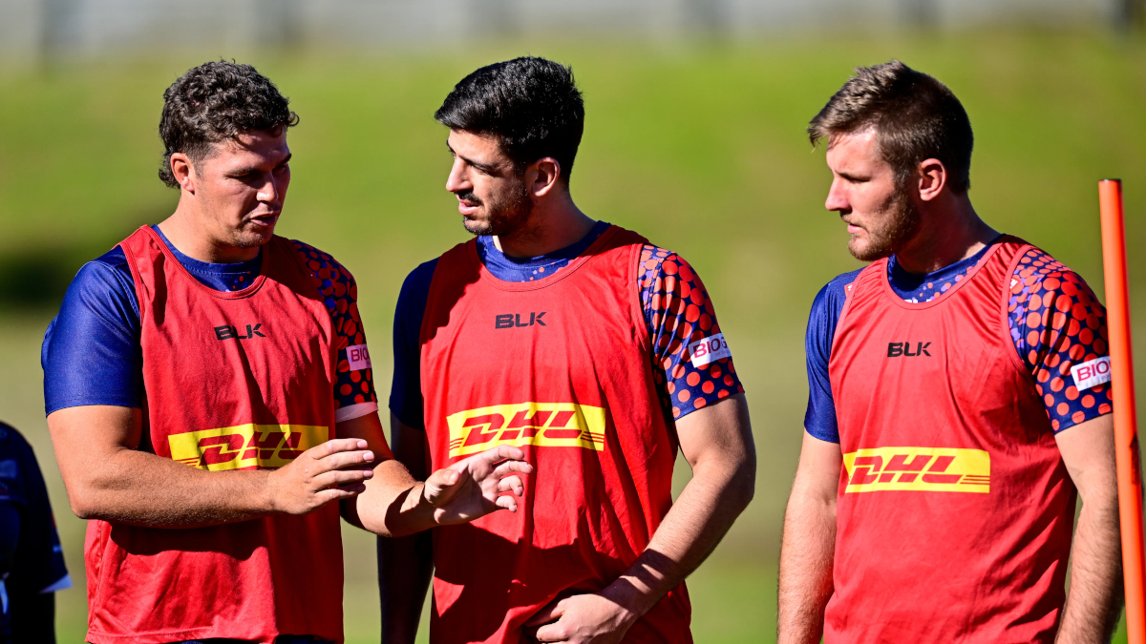 Debutant Davids to lead WP against the Bulls