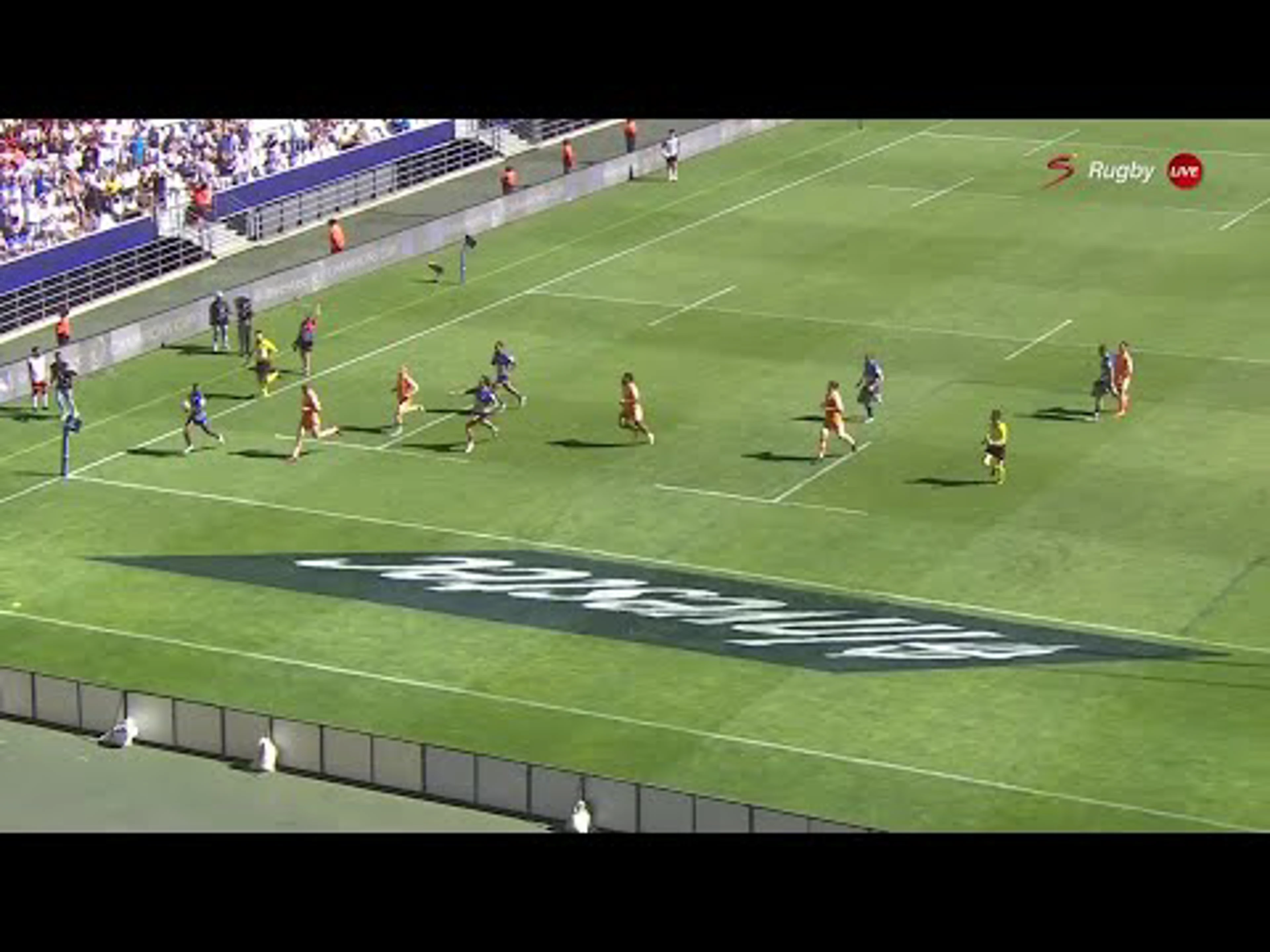 Warrick Gelant With a Try vs. Sale Sharks