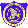 Saint Eloi Lupopo logo