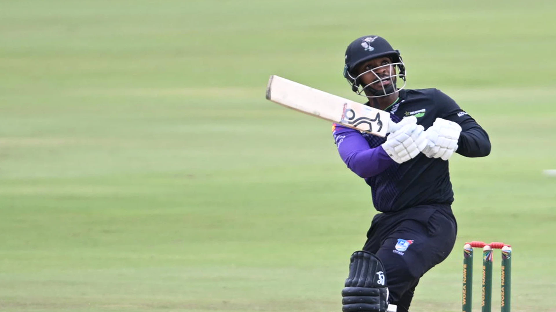 T20 CHALLENGE: Dolphins face WP in crucial Eliminator