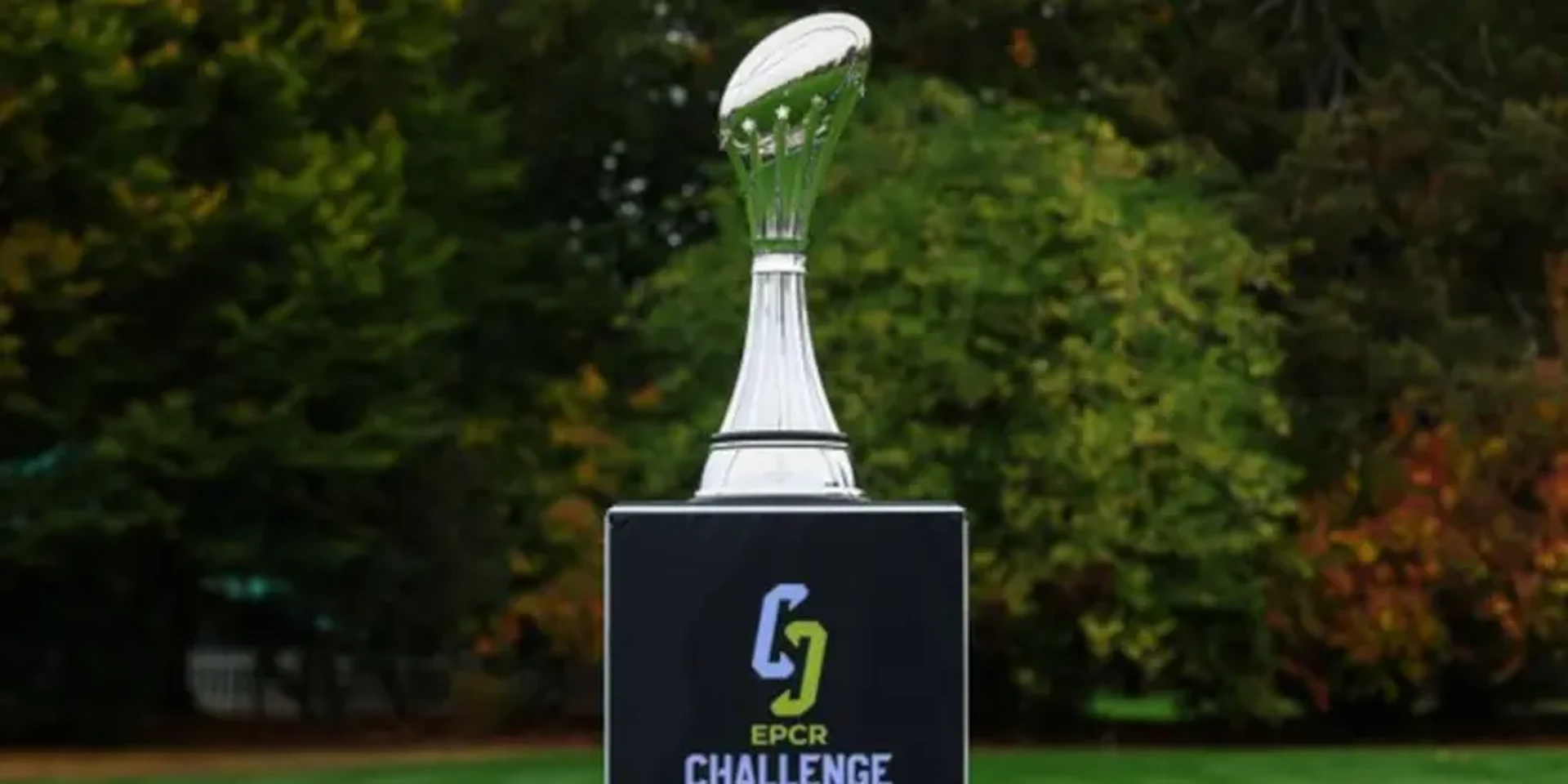 CHALLENGE CUP: Cheetahs game postponed due to frozen pitch