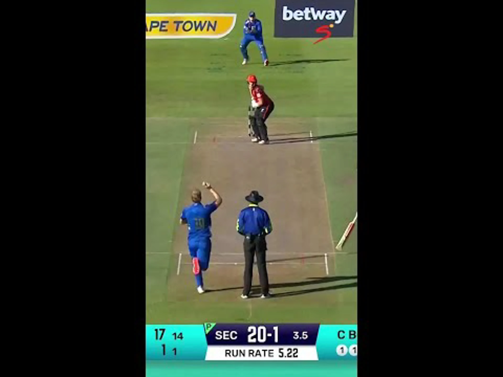 Brevis claims a spectacular catch on the leg-side boundary!