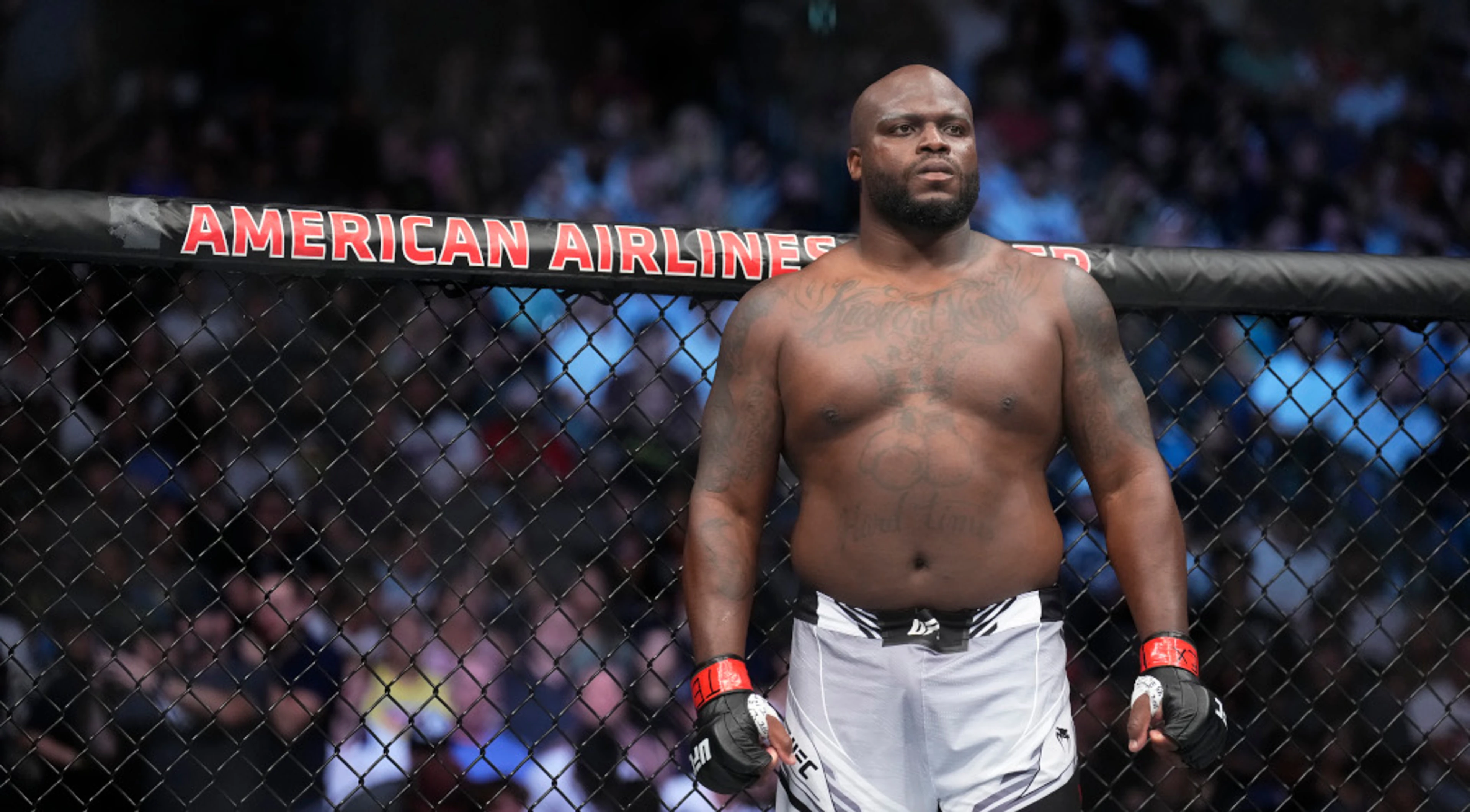 The Black Beast looks to bounce back