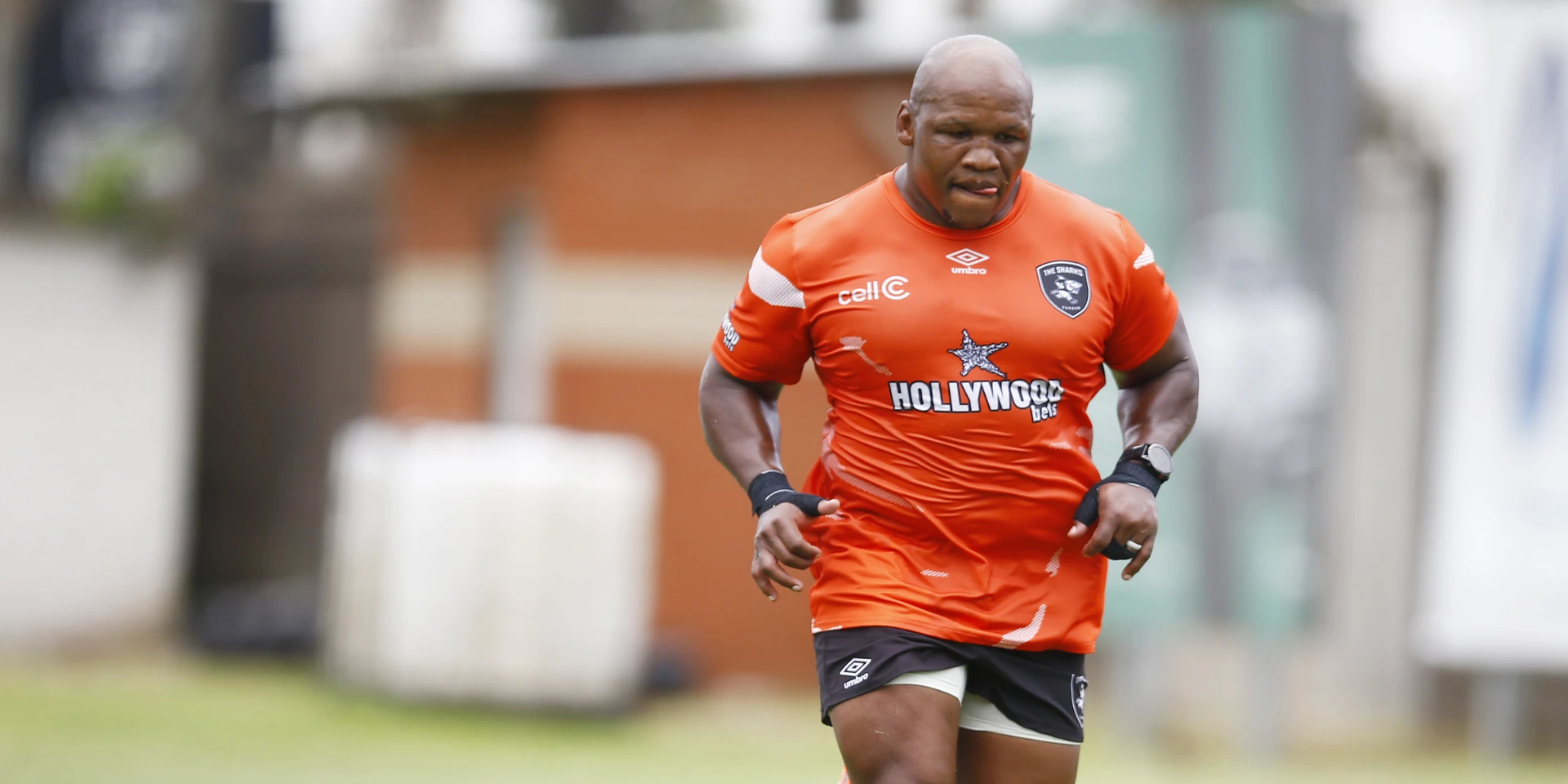 FIGHT FIRE WITH FIRE: Sharks working hard on plan to stop Stormers' maul