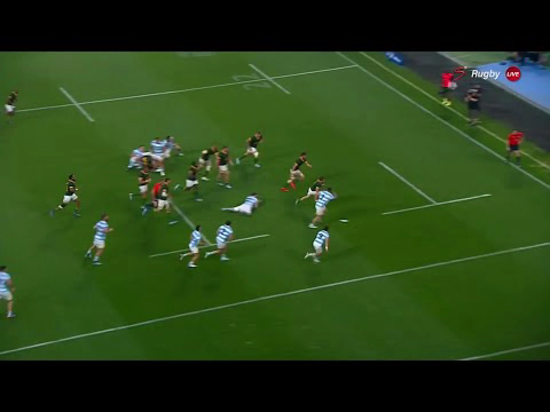 Cobus Reinach | 39ᵗʰ Minute Try v Argentina