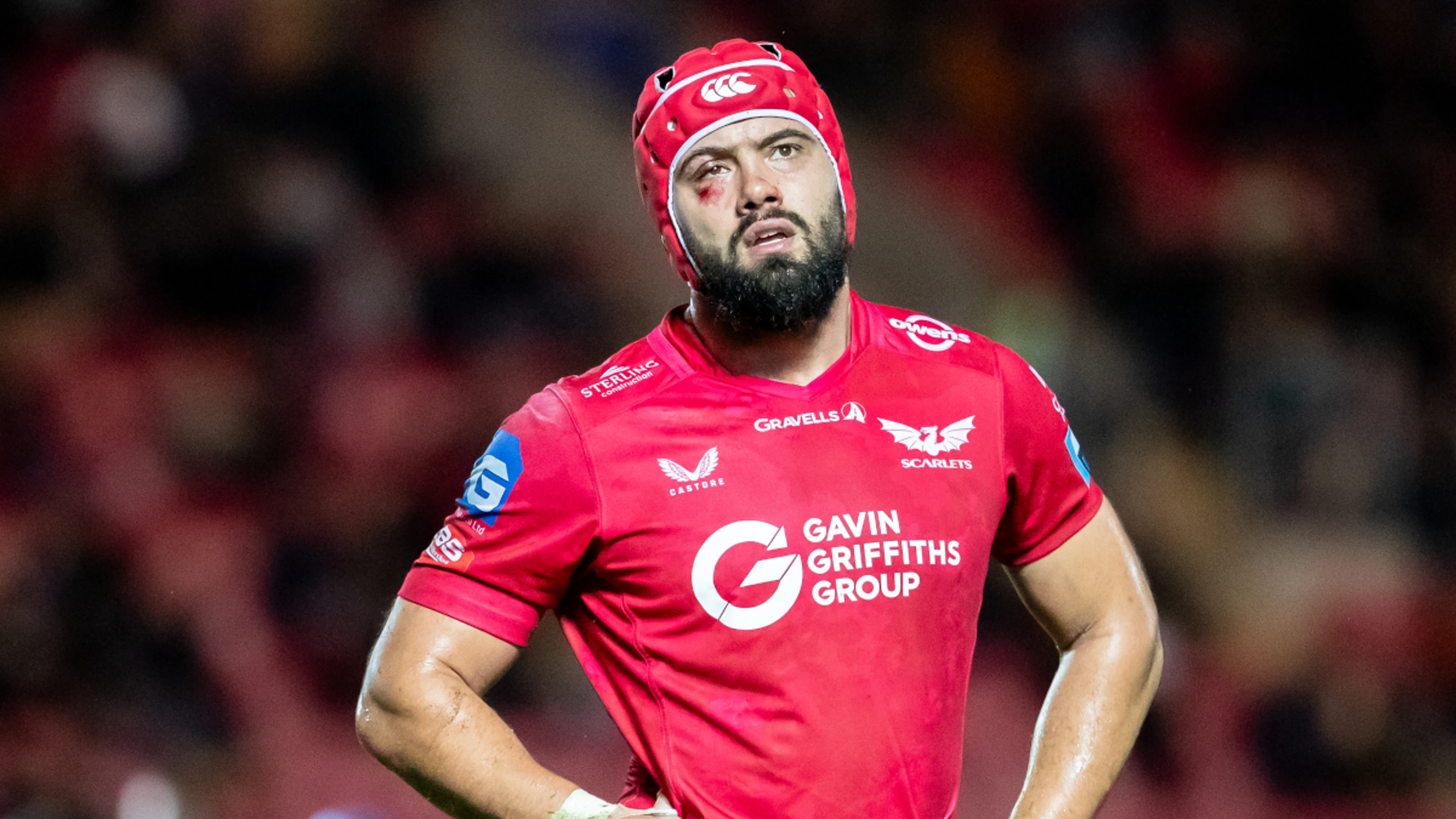 Macleod returns as Wales seek to end record losing streak against Japan