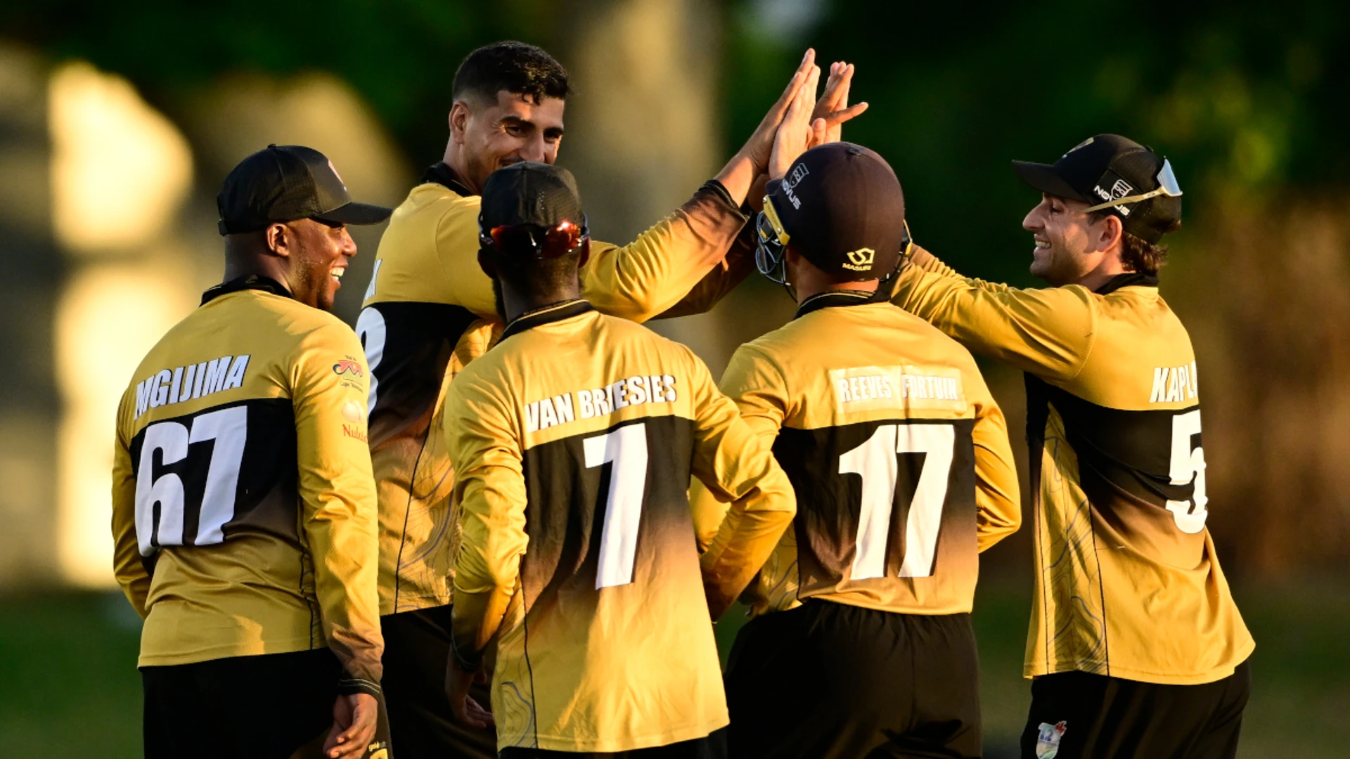 Boland down Dolphins in titanic T20