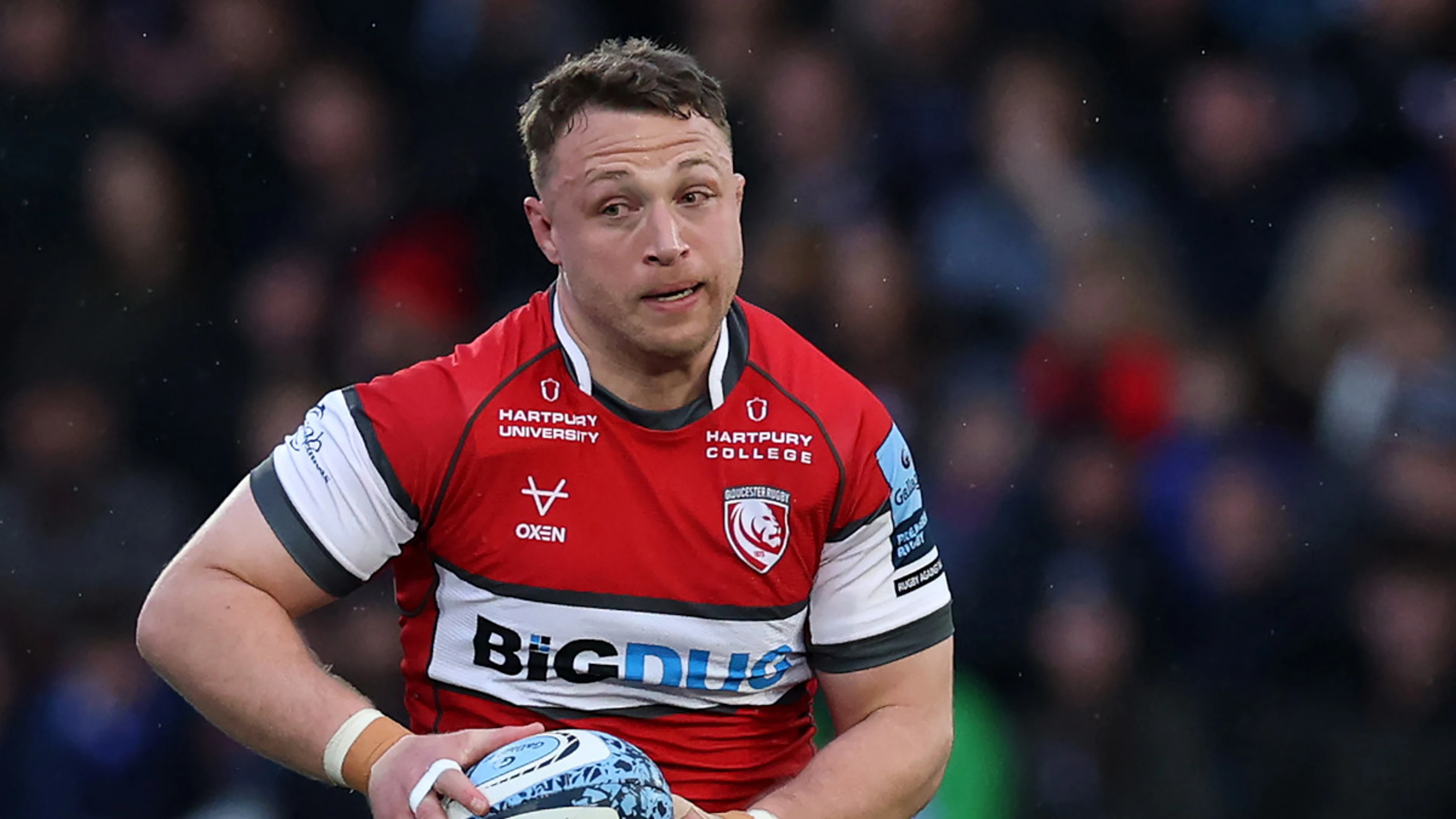 Ackermann bolsters Stormers’ loose-forward ranks