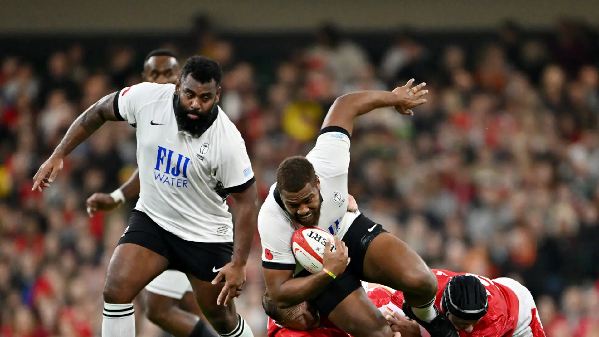 Fiji look to soften up Wallabies before Lions series