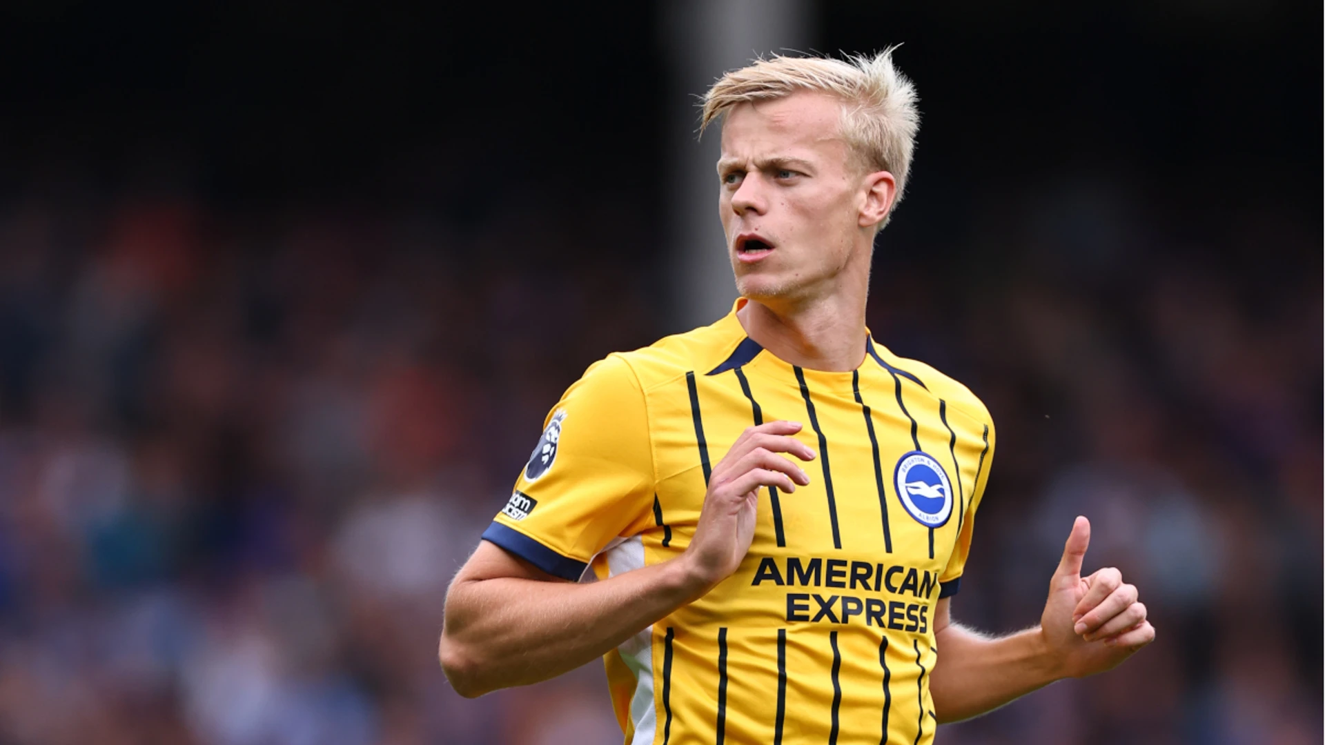 Brighton defender Van de Hecke gets first Dutch call-up