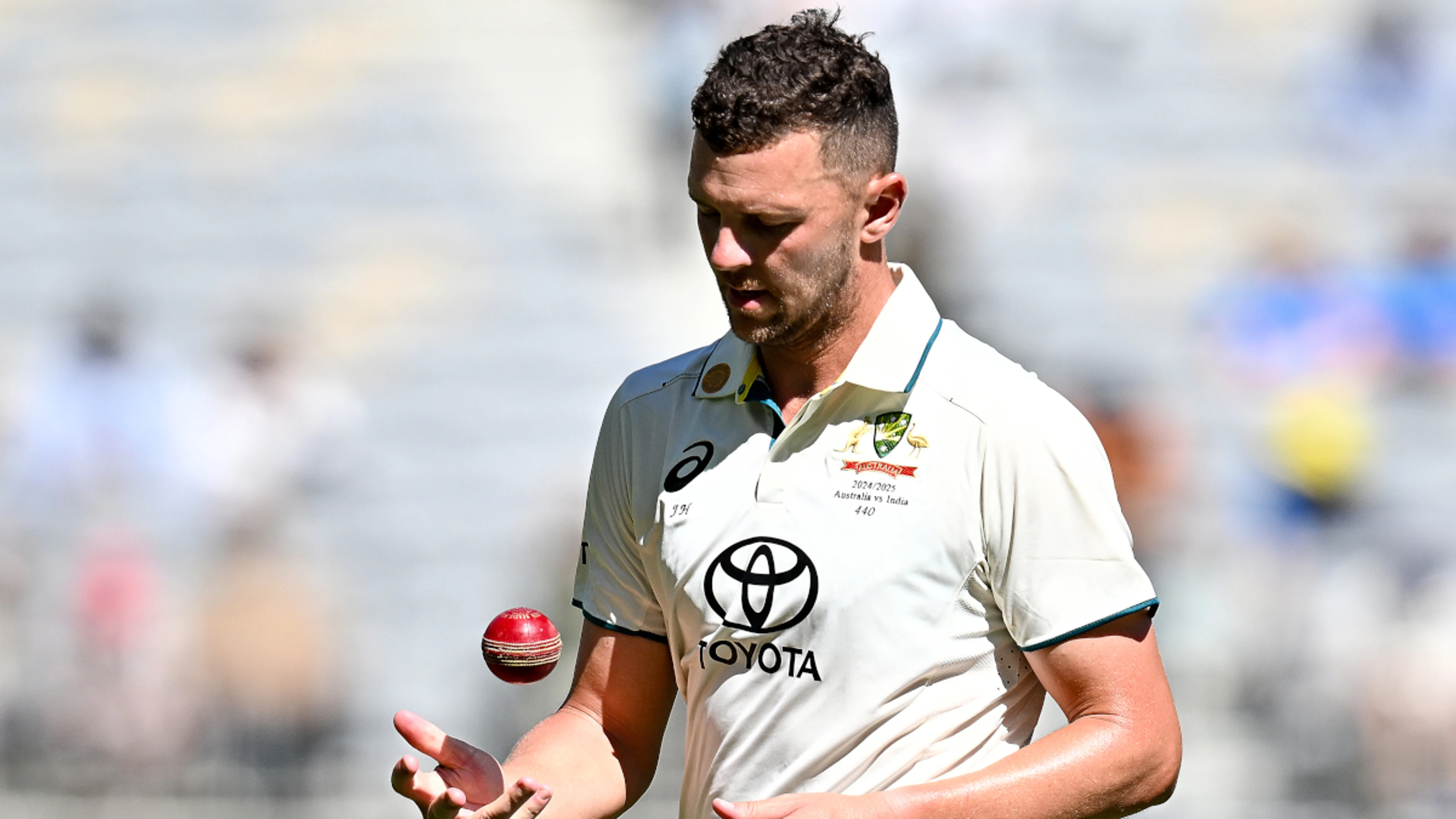 Australia's Hazlewood gets all-clear after Ashes scare but Abbott ruled out