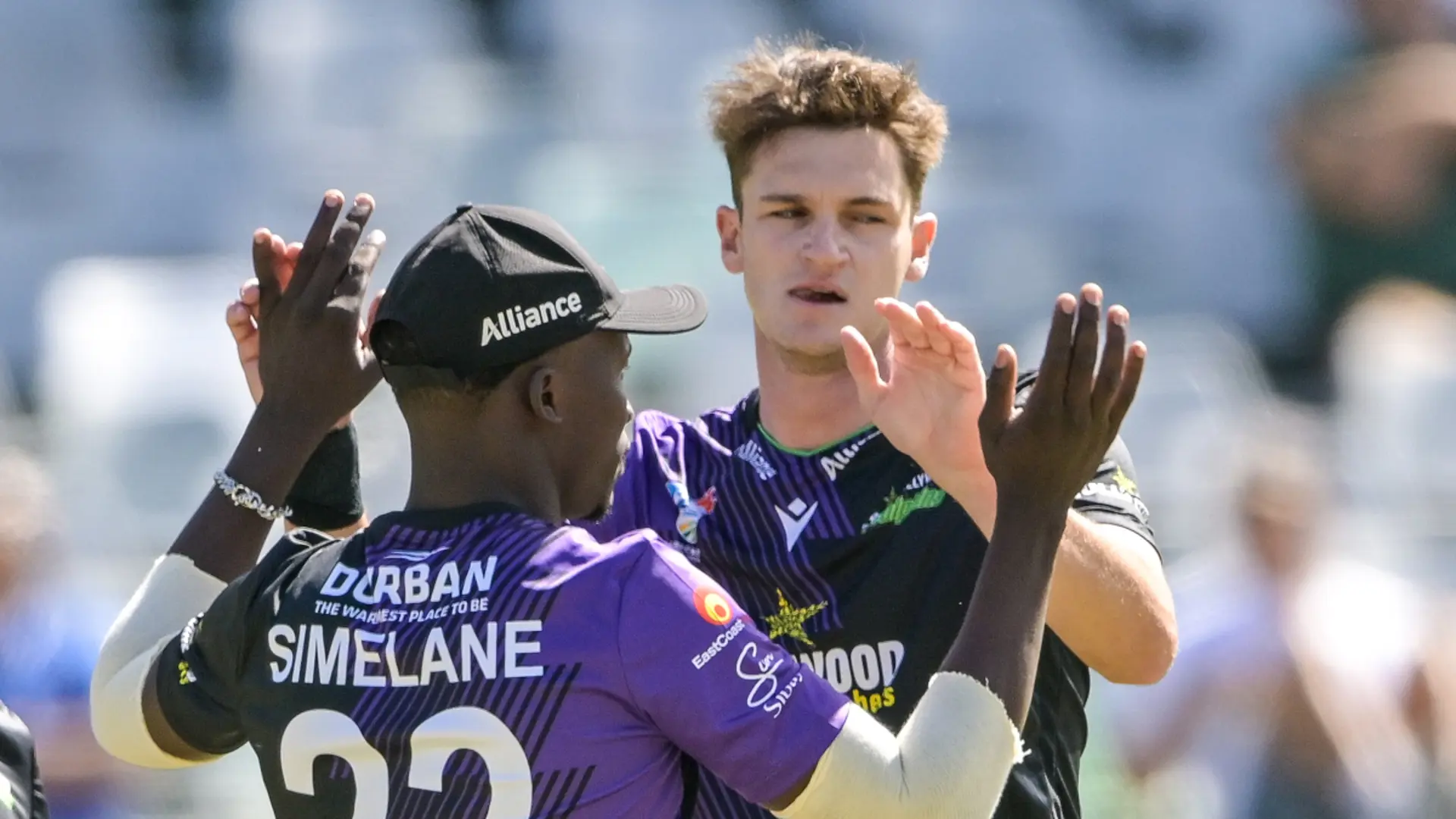 Smith, Bosch and brilliant catches see the Dolphins home